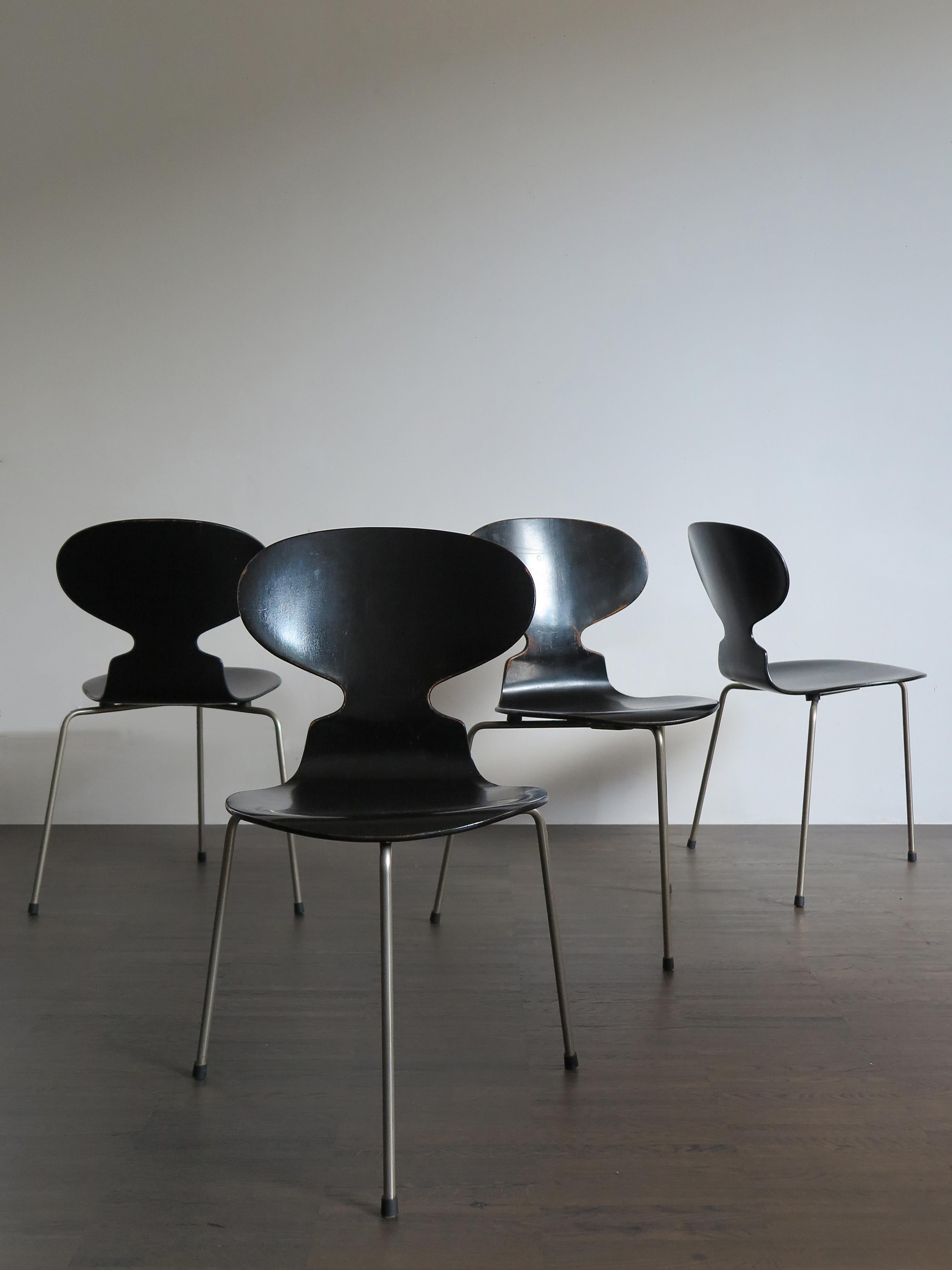 Mid-Century Modern design Scandinavian dining chairs model Ant designed by Danish famous designer Arne Jacobsen for Fritz Hansen, first edition of the 1950s.

Please note that the chairs are original of the period and this shows normal signs of