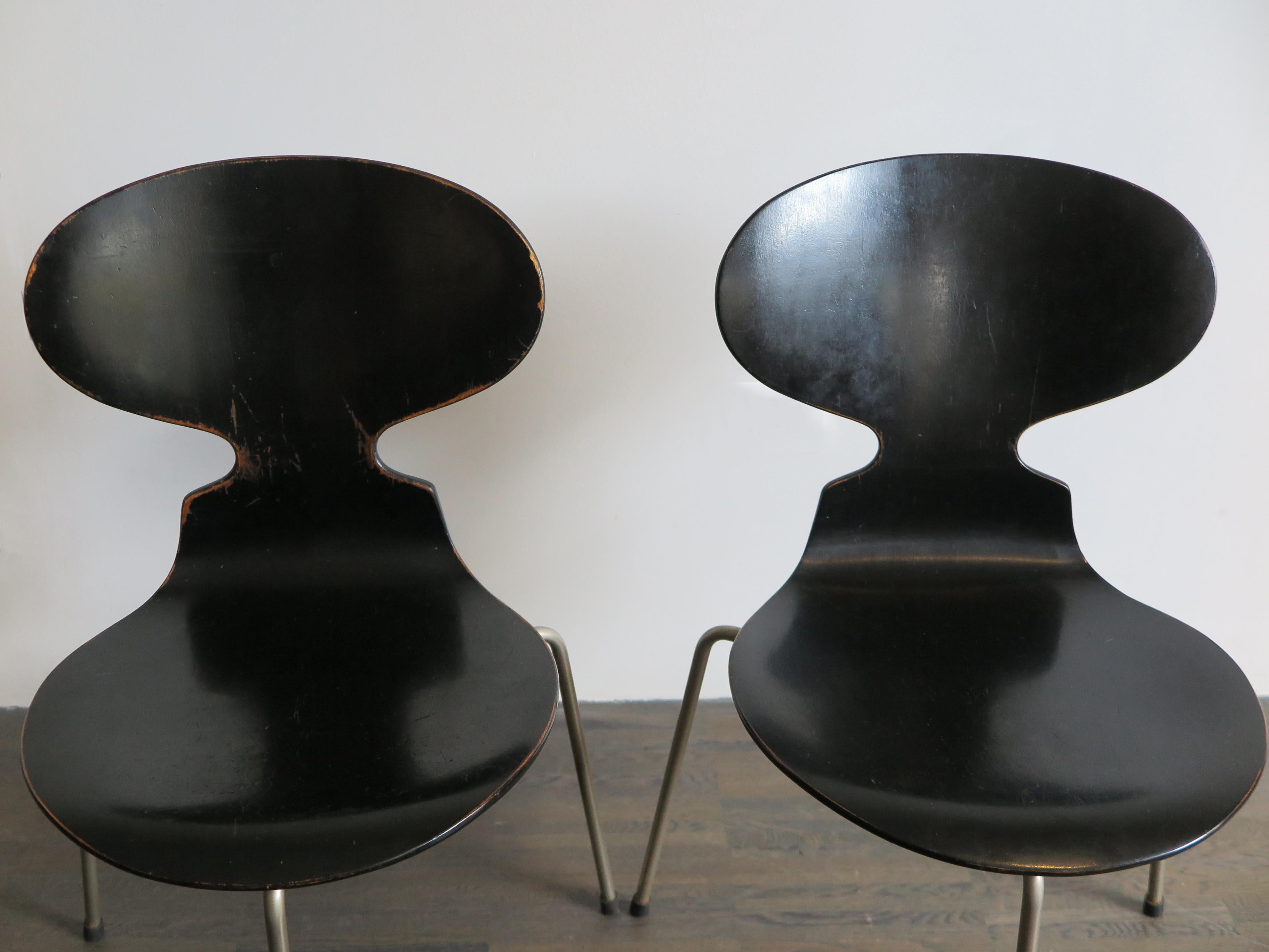 Danish Arne Jacobsen Scandinavian Dining Chairs Model Ant for Fritz Hansen, 1950s