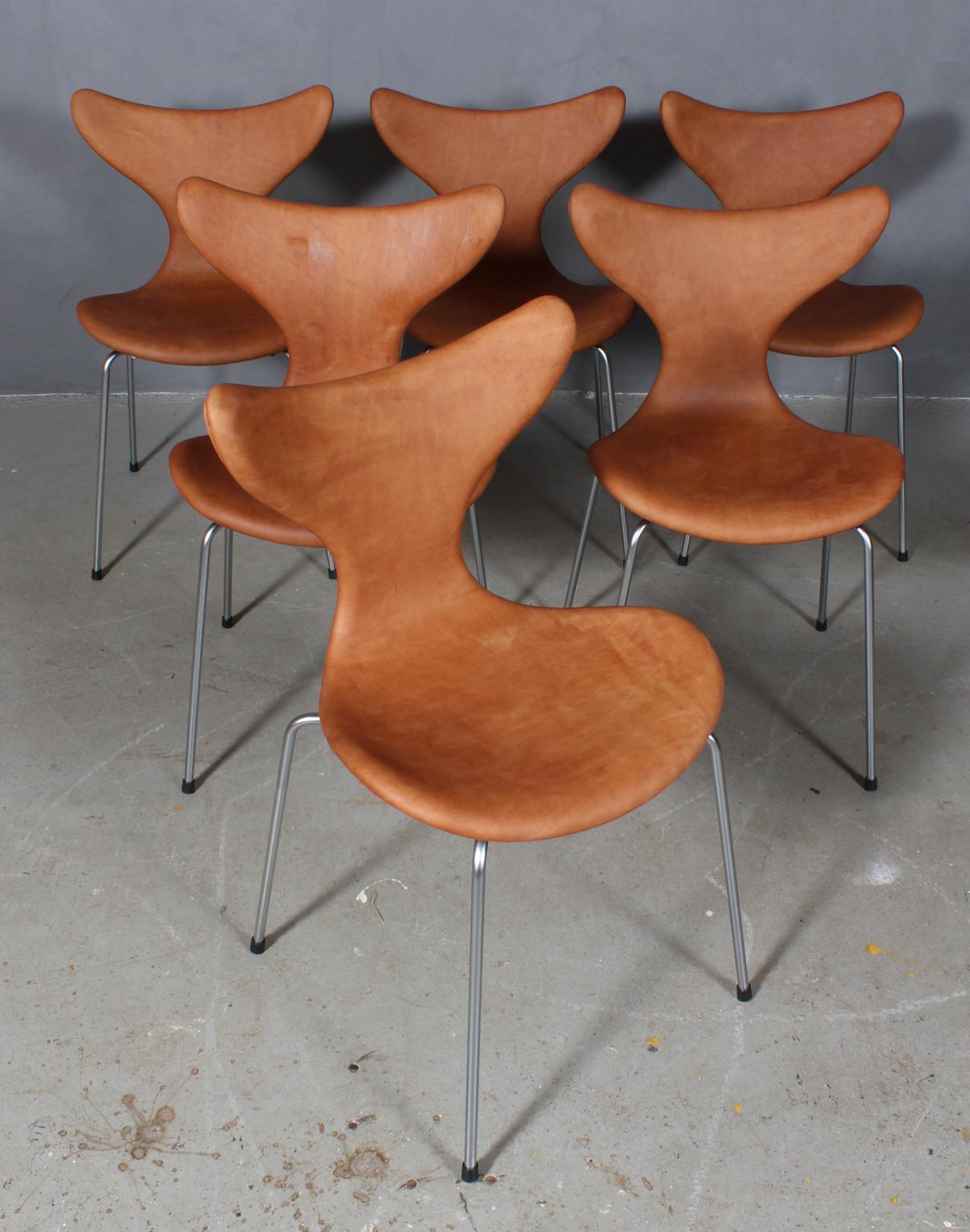 Arne Jacobsen dining chair new upholstered with vintage tan aniline leather.

Base of matt chromed steel tube.

Model 3108 Seagull, made by Fritz Hansen.