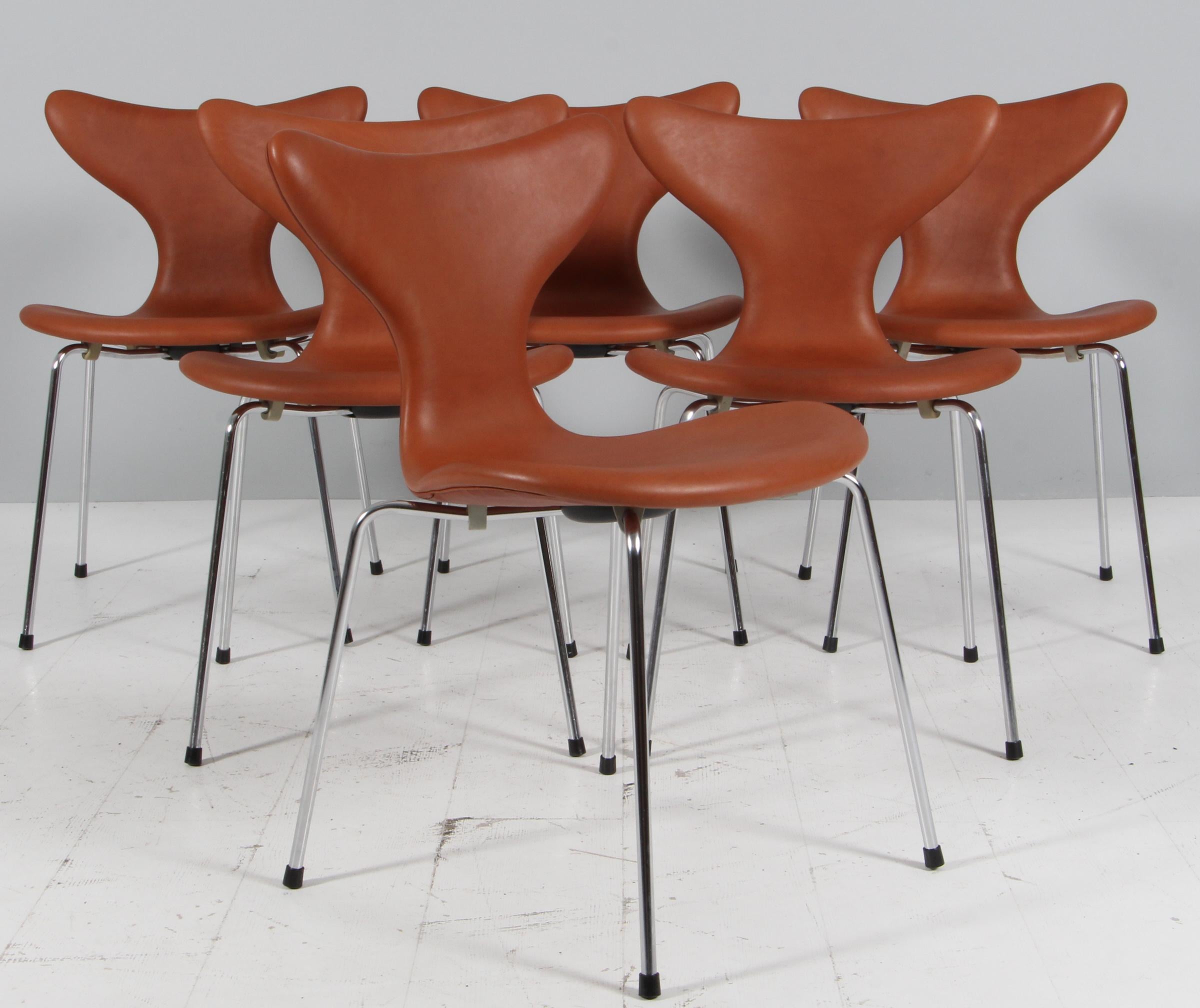 Arne Jacobsen dining chair new upholstered with smooth brandy coloured full grain aniline leather.

Base of chromed steel tube.

Model 3108 Seagull, made by Fritz Hansen.