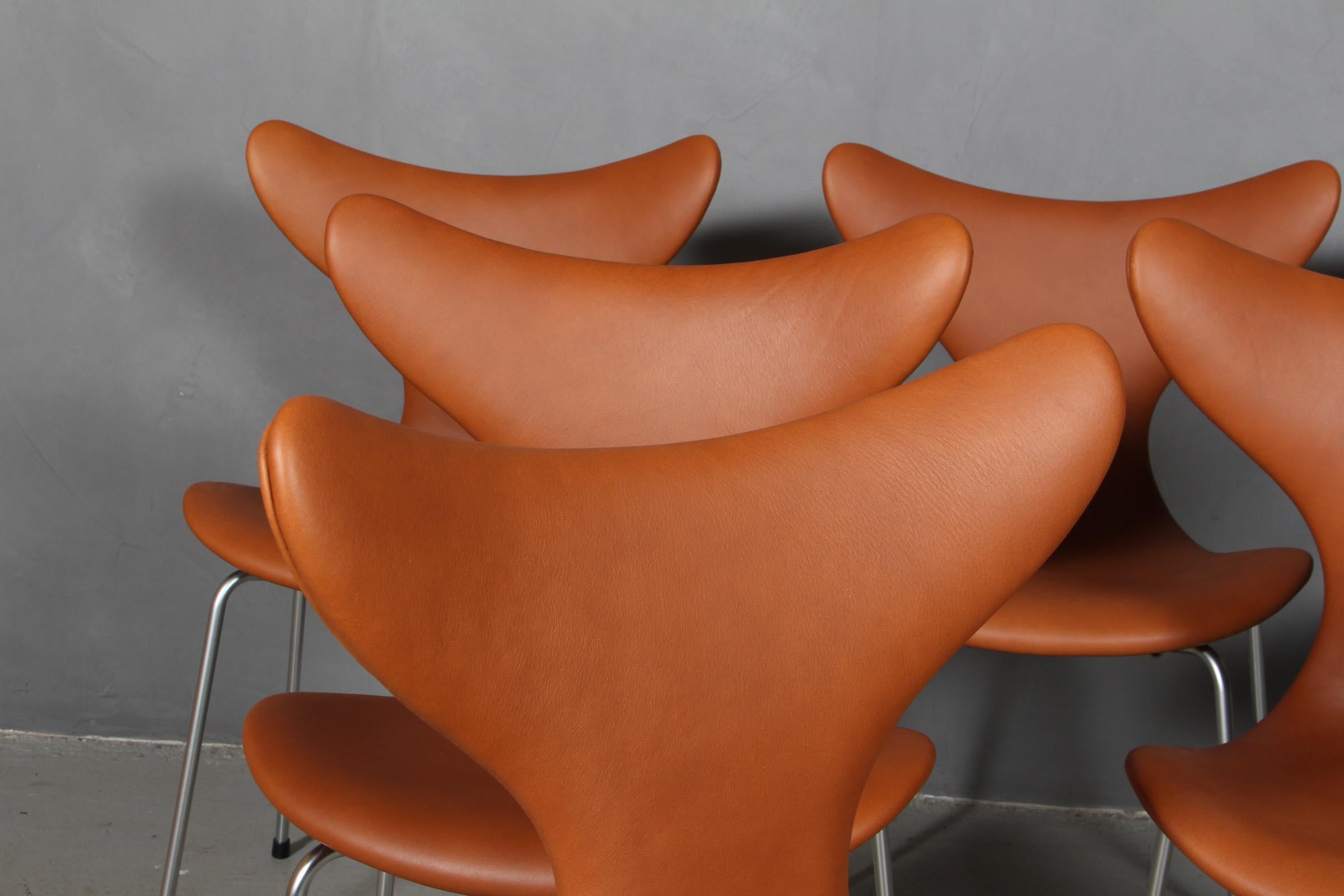 Scandinavian Modern Arne Jacobsen, Seagull, Dining Chair