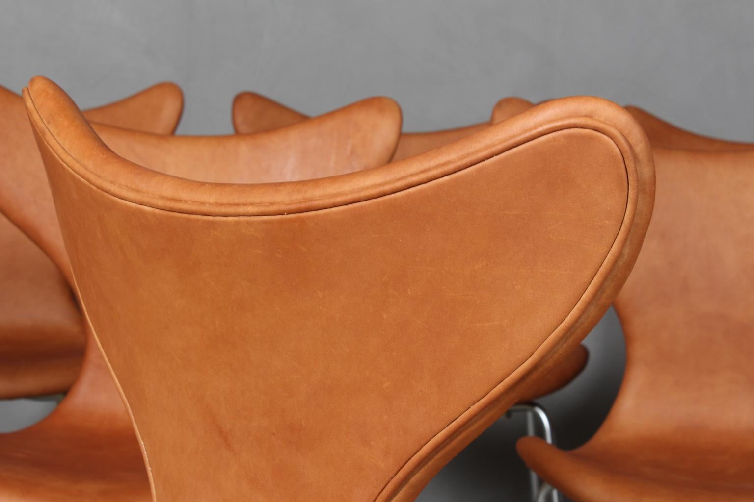 Leather Arne Jacobsen, Seagull, Dining Chair