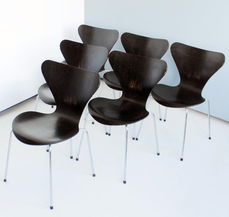 Six (6) chairs Model No. 3107, also called the Series 7 (Syveren Chairs). Stacking dining chairs in black stained plywood. Moulded plywood connected to chromed bent tubular steel base with plastic cap feet.

Scratches and wear by use but overall a
