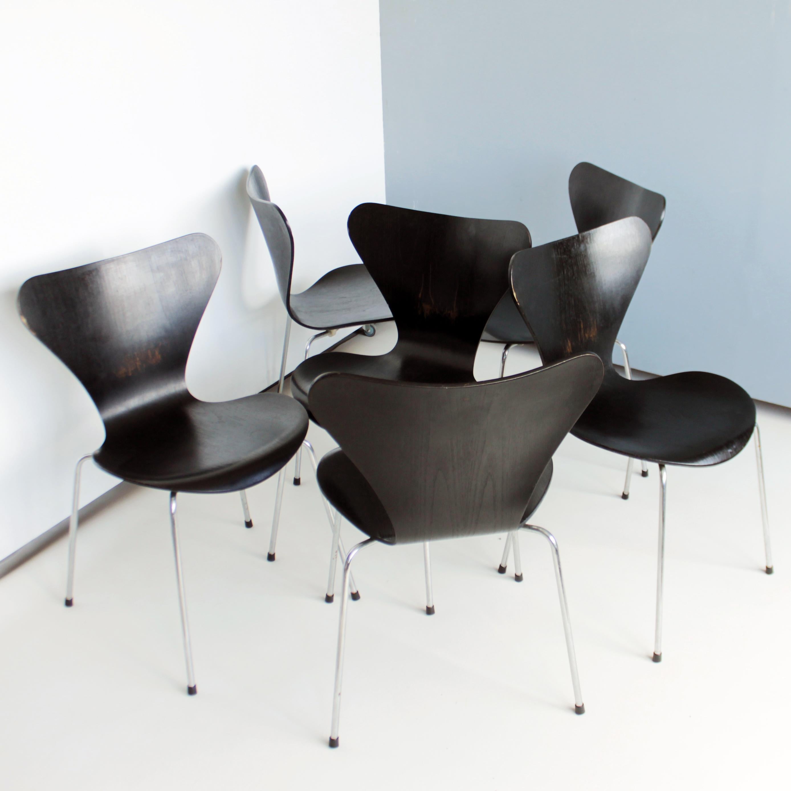 Danish Arne Jacobsen Series 7 Chairs by Fritz Hansen