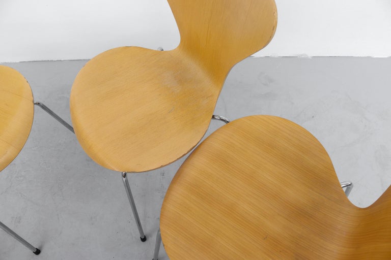 Arne Jacobsen Series 7 Stackable Chairs for Fritz Hansen 7