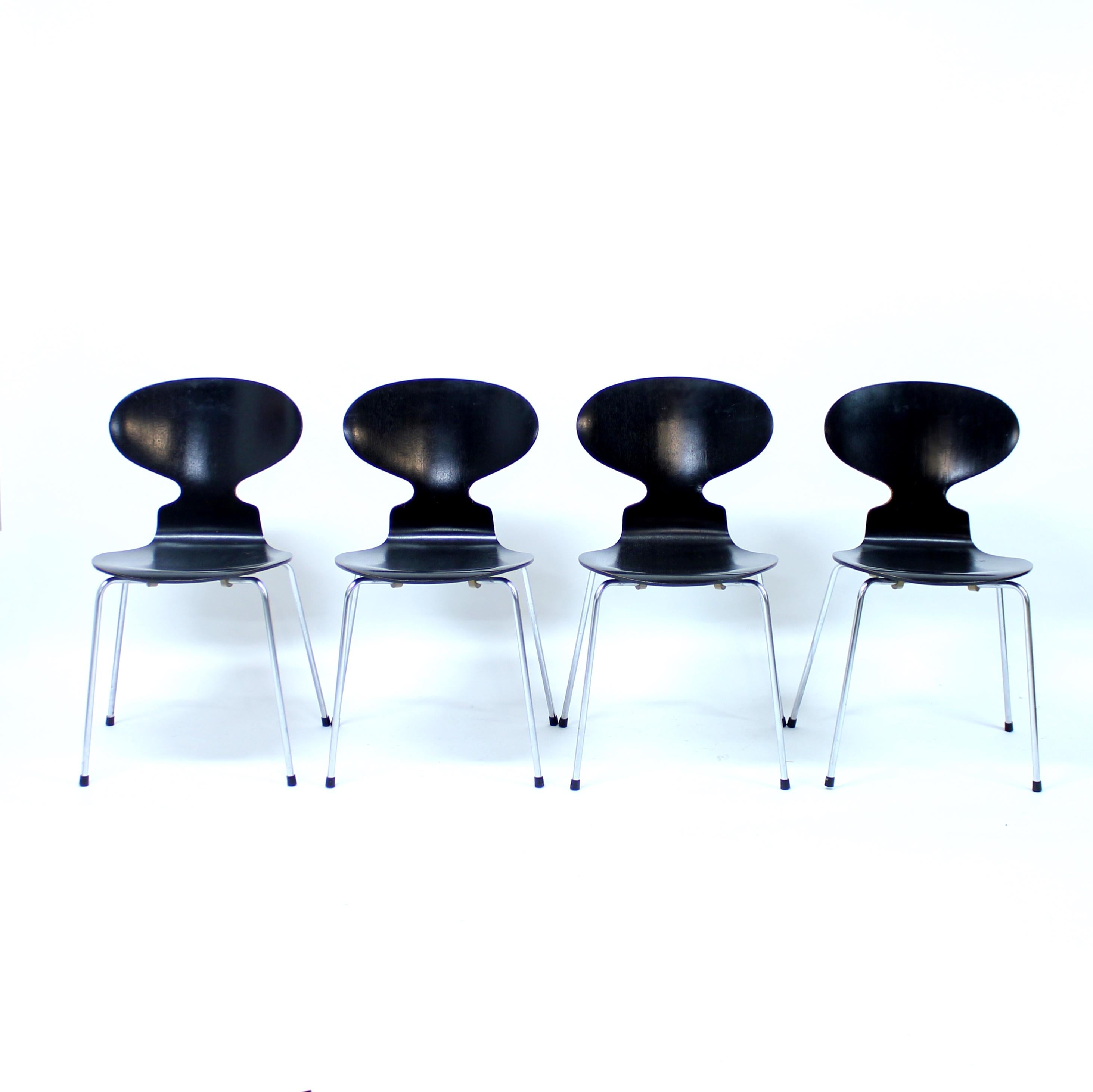 Set of four Ant chairs, or model 3100. This model was designed by Arne Jacobsen for Fritz Hansen back in 1952 and was originally developed for the dining room of Danish farmaceutical company NOVO in Copenhagen. This black lacquered set was produced