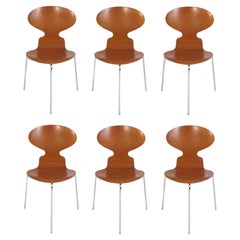 Arne Jacobsen Set Sei Sedie Ant Rifinite A Scelta del Colore Modern Danese