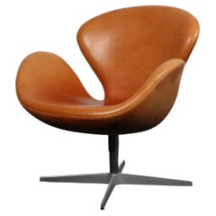 Lounge Chairs