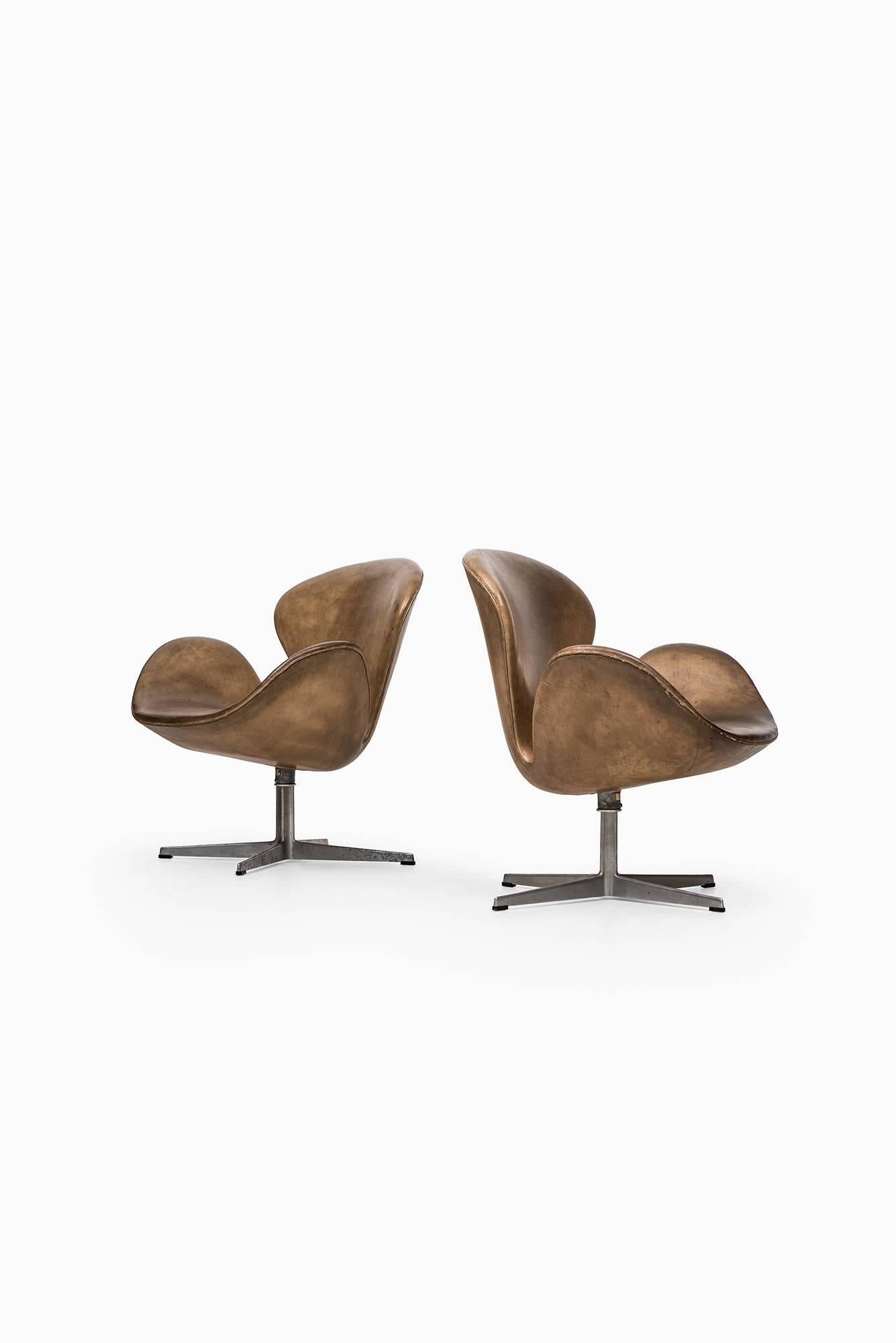 Danish Arne Jacobsen Swan Easy Chairs by Fritz Hansen in Denmark