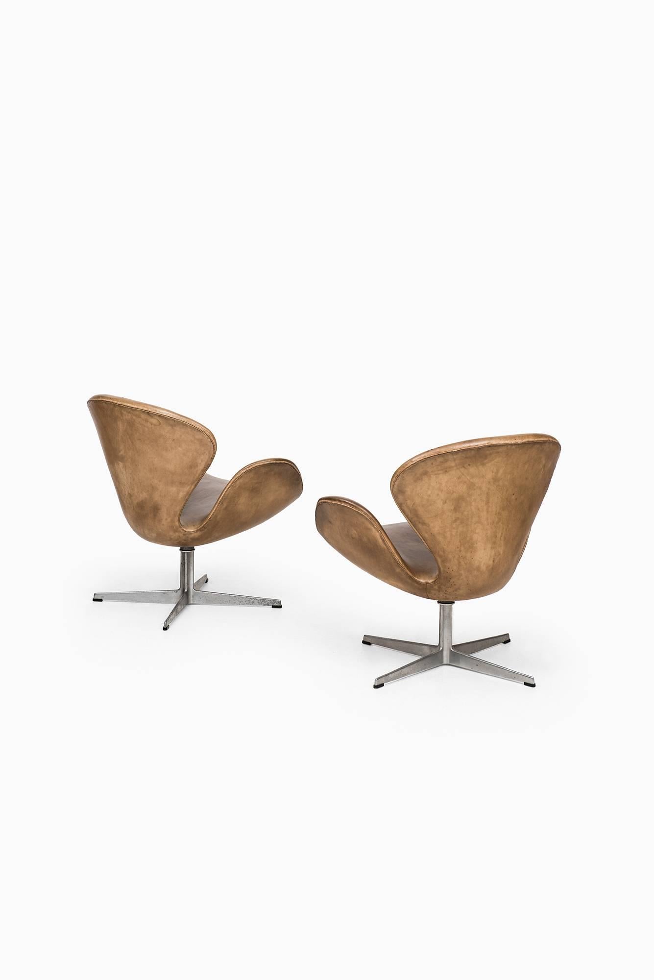 Mid-20th Century Arne Jacobsen Swan Easy Chairs by Fritz Hansen in Denmark