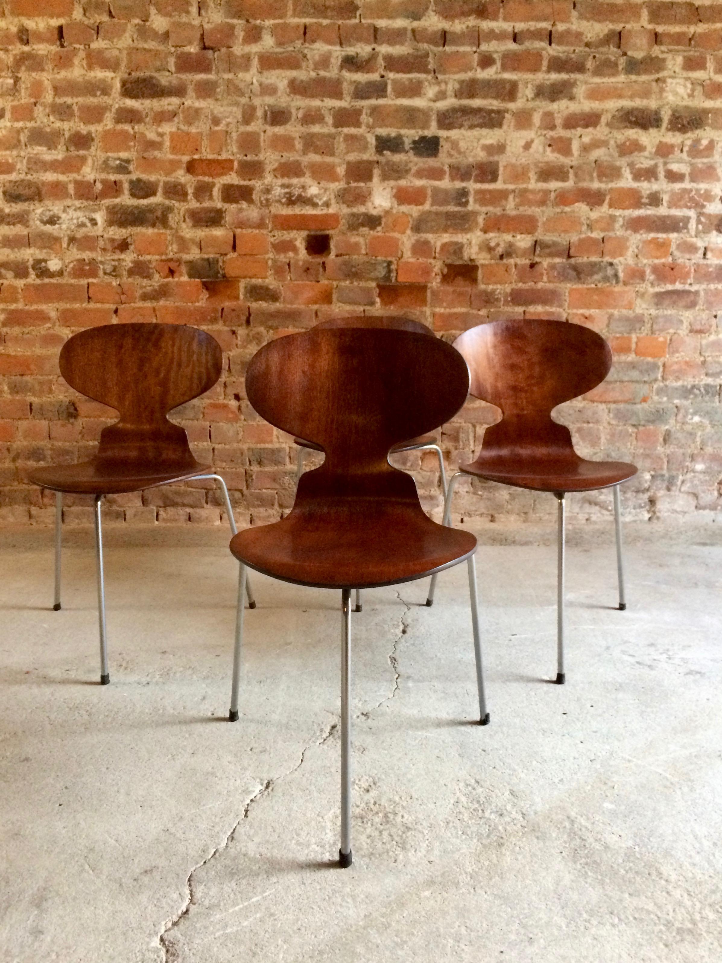 Magnificent midcentury Danish Arne Jacobsen for Fritz Hansen dining table fitted with chromed steel legs model 3600 with a set of four 'The Ant’ chairs in bent, laminated ply fitted with steel legs model 3100, this is an original early 1950s model