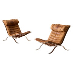 Arne Norell Ari Easy Chairs in pelle marrone cognac, Svezia, anni '60