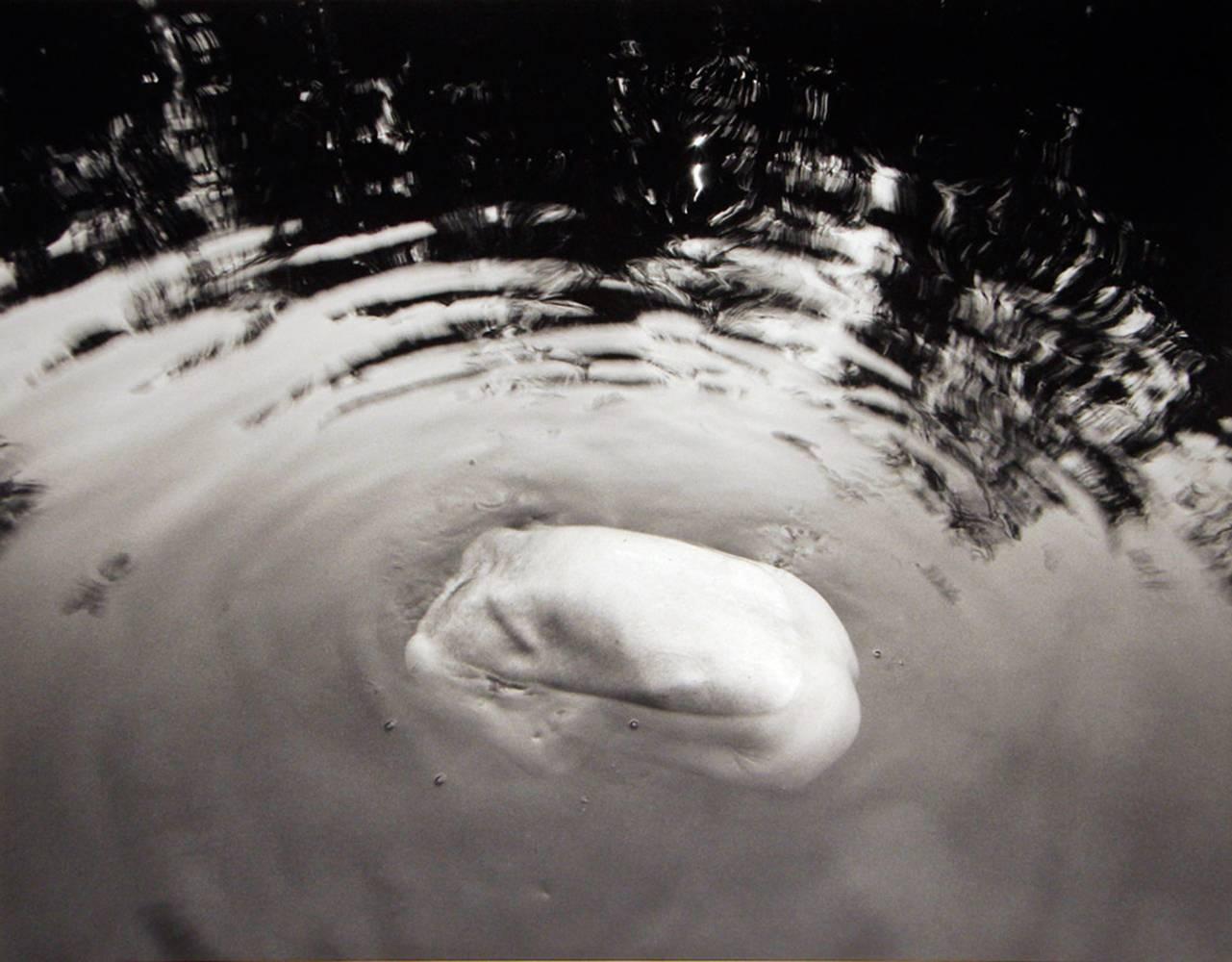 Arno Rafael Minkkinen Black and White Photograph - Waiting for the Snake