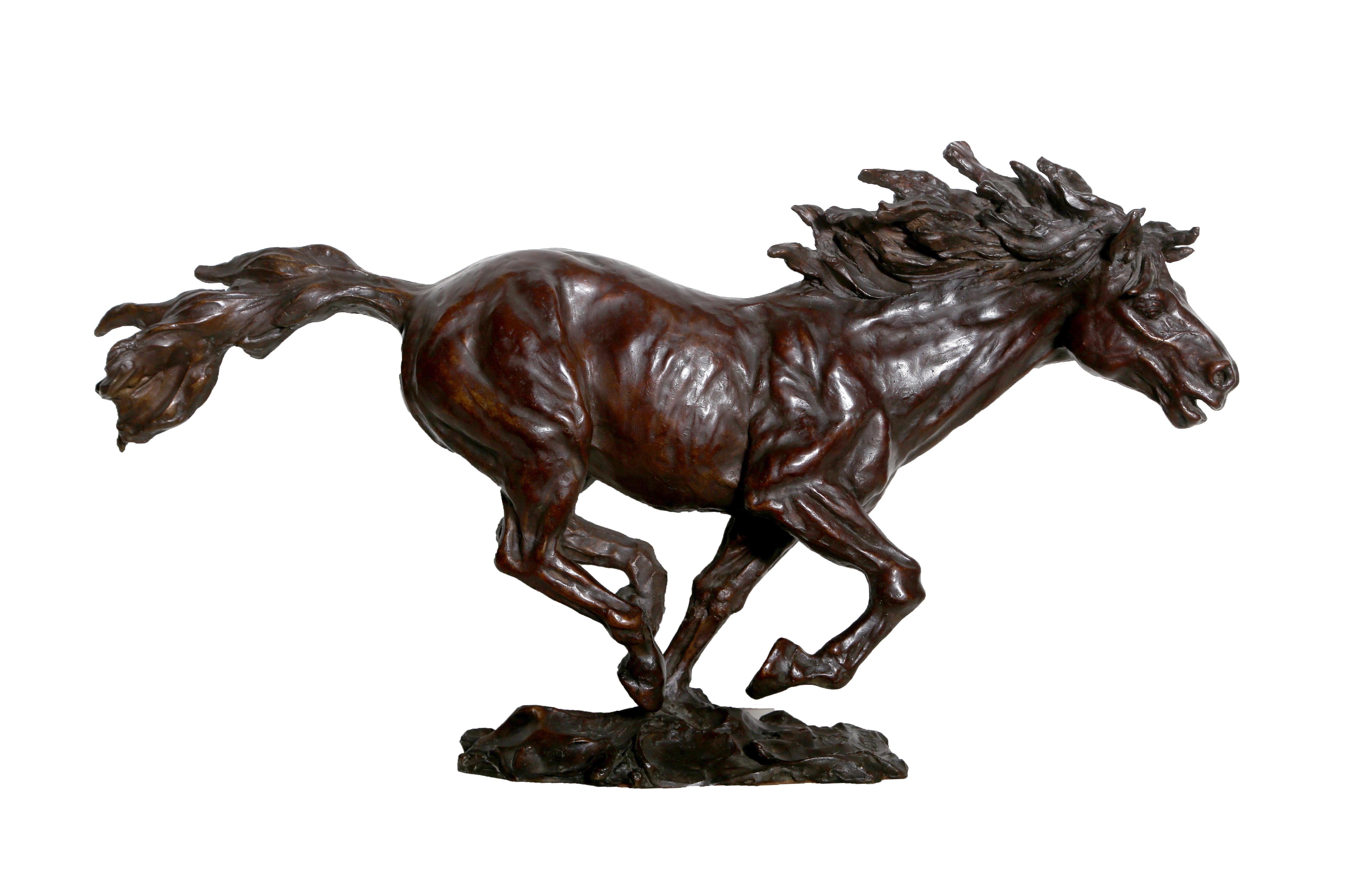 Sculpture en bronze d'un cheval mustang sauvage créée par l'artiste américain Arnold Goldstein. La signature et la numérotation de cette œuvre d'art sont inscrites. Numéroté 3/6.
