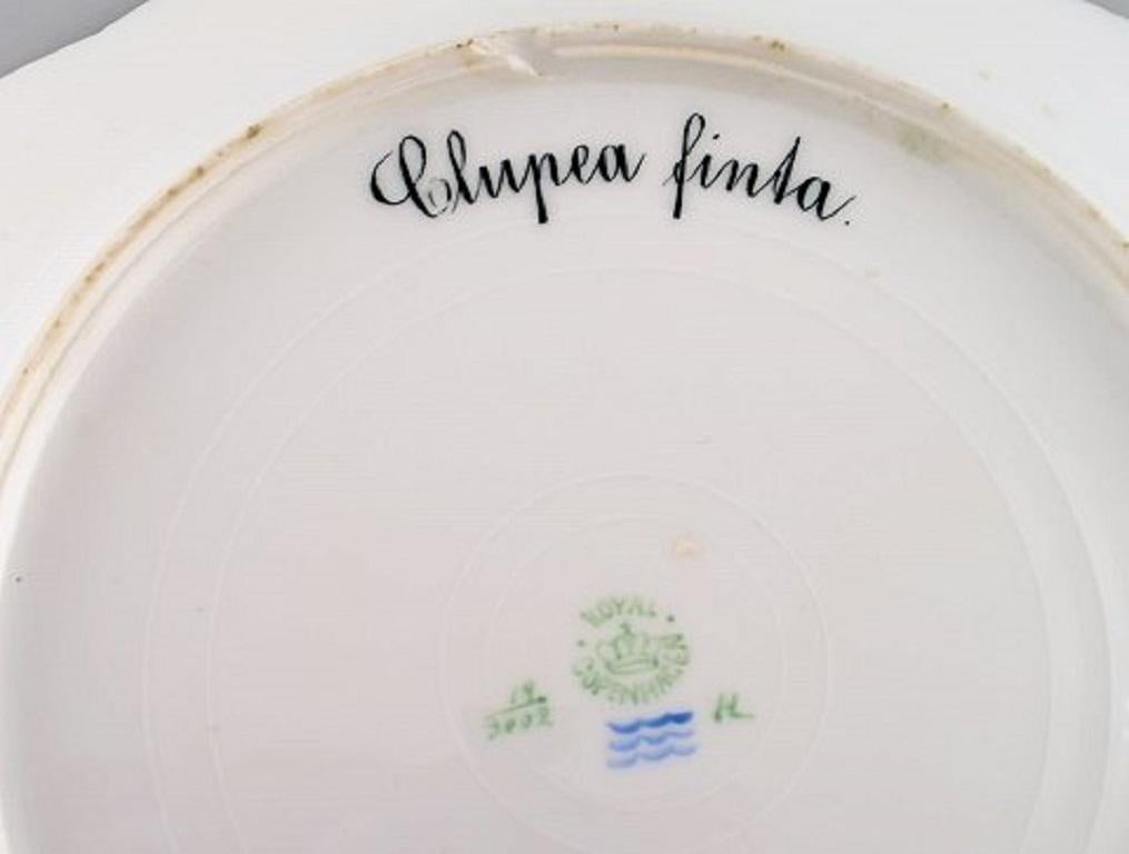 Danish Arnold Krog for Royal Copenhagen, Fish Service in Hand Painted Porcelain, Plate