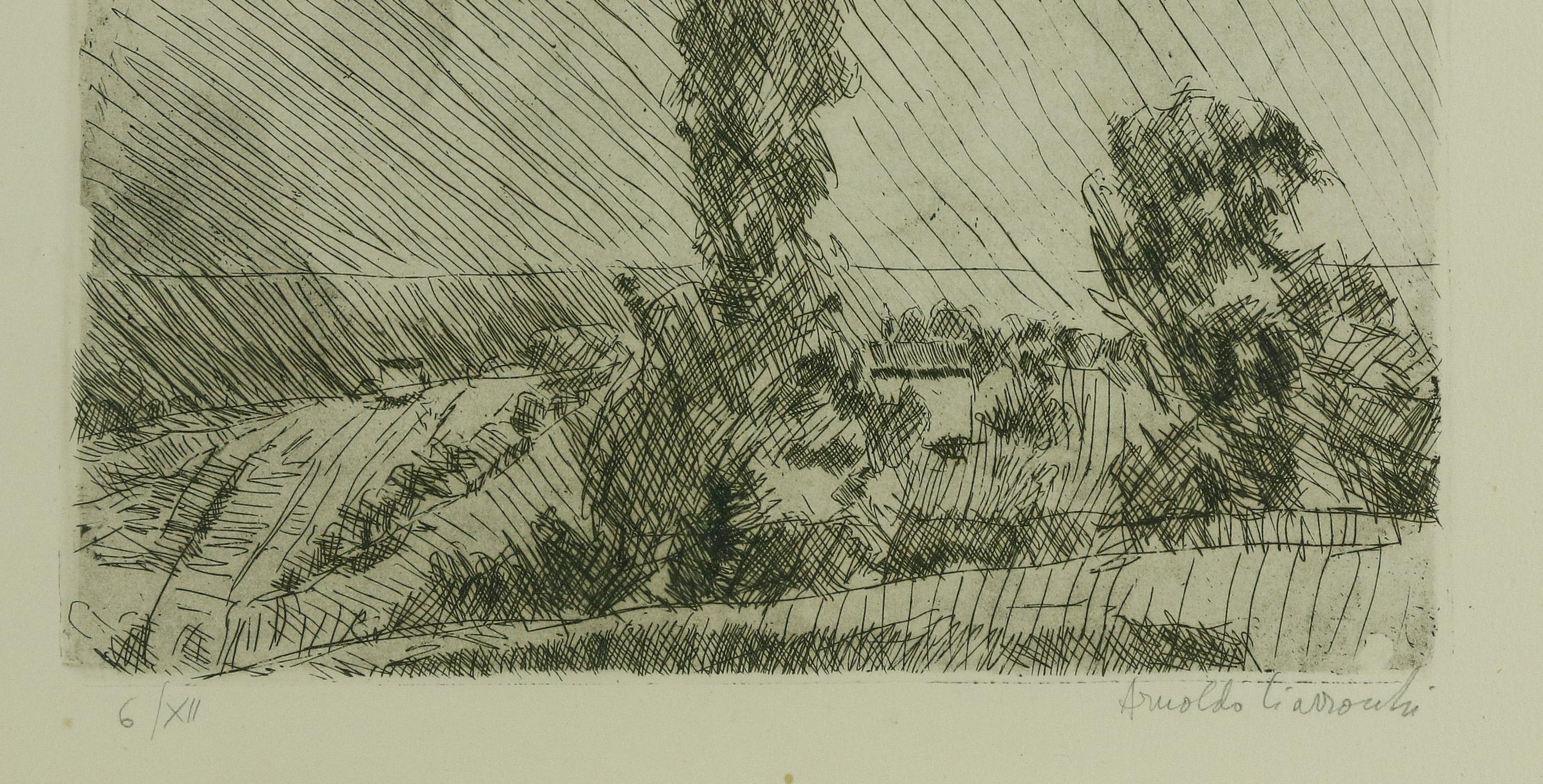 Landscape - Etching by Arnoldo Ciarrocchi - Mid-20th Century For Sale 1