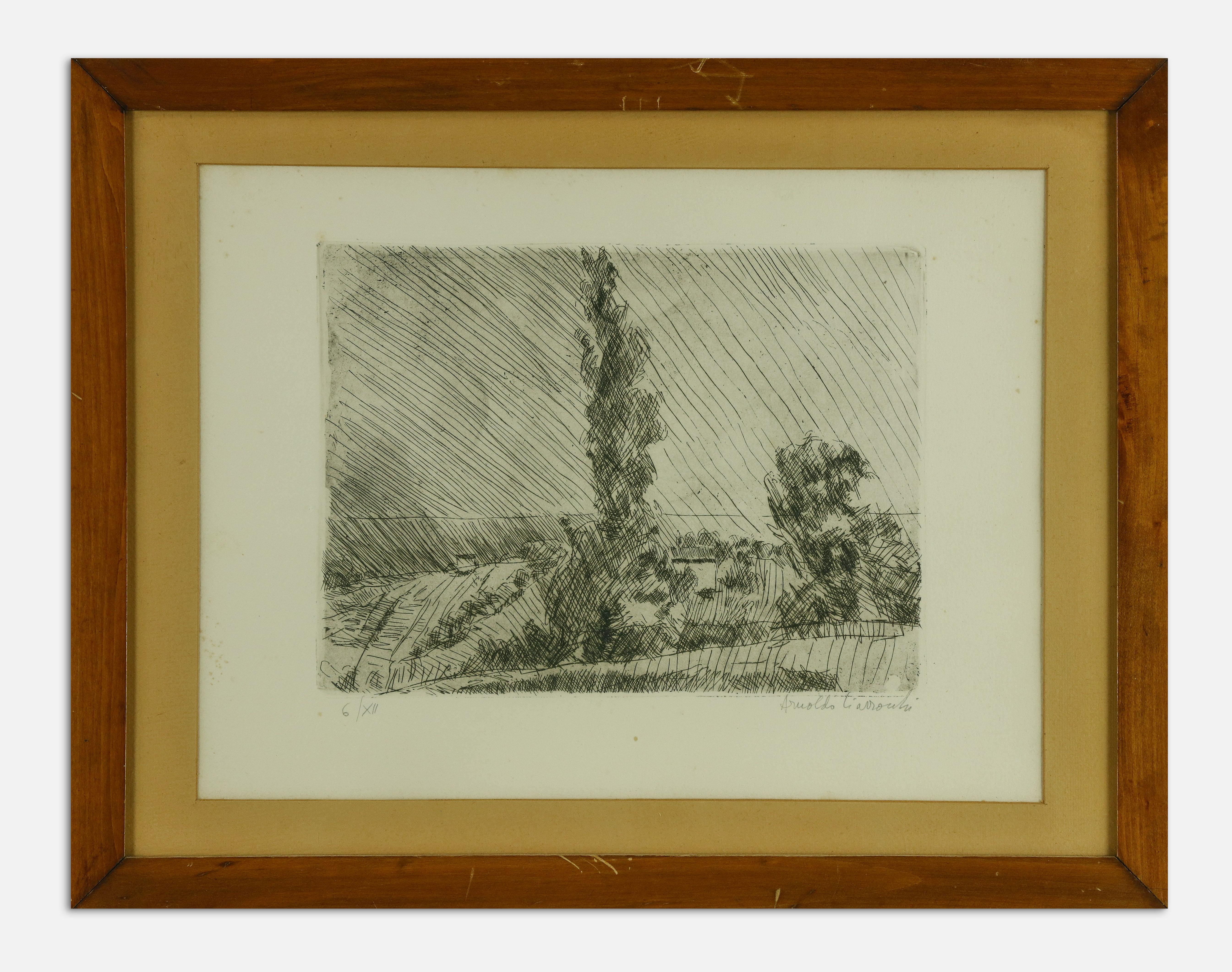 Landscape is a modern artwork realized by Arnoldo Ciarrocchi in the mid-20th Century.

Black and white etching.

Includes frame

Hand signed and dated on the lower margin. Edition of 6/XII