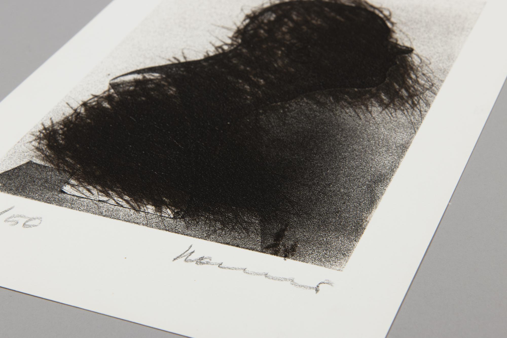 Arnulf Rainer, Büste im Nebel - Stampa firmata, Acquaforte a puntasecca, Arte astratta 3
