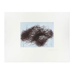Arnulf Rainer, Drahtwolke - Contemporary Art, Abstract Art, Signed Print