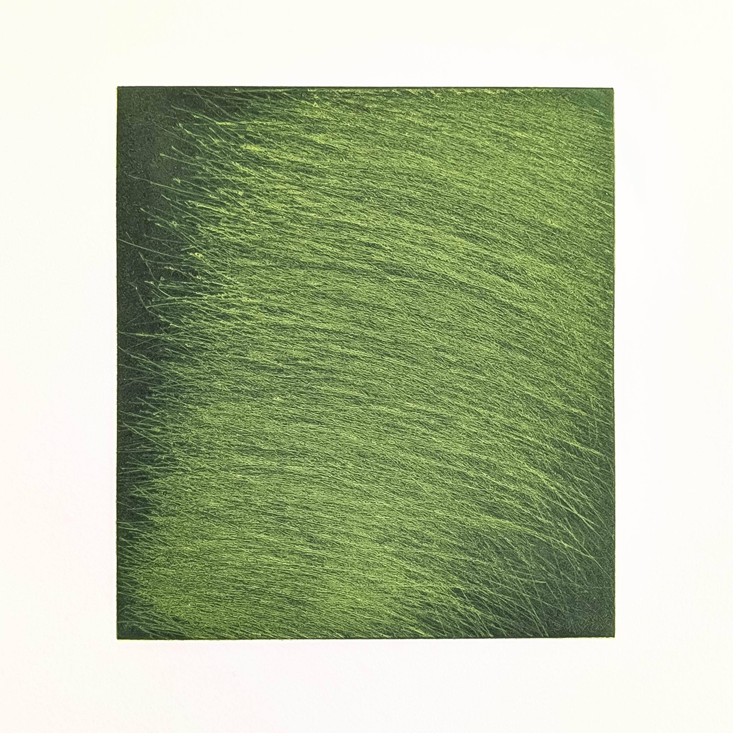 Arnulf Rainer, Grüner Strom -  Signed Drypoint Etching, Abstract Print For Sale 1