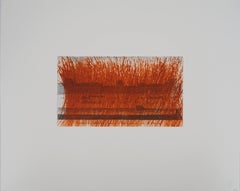 Parigi: Museo del Louvre con graffio arancione (fuoco) - Incisione originale