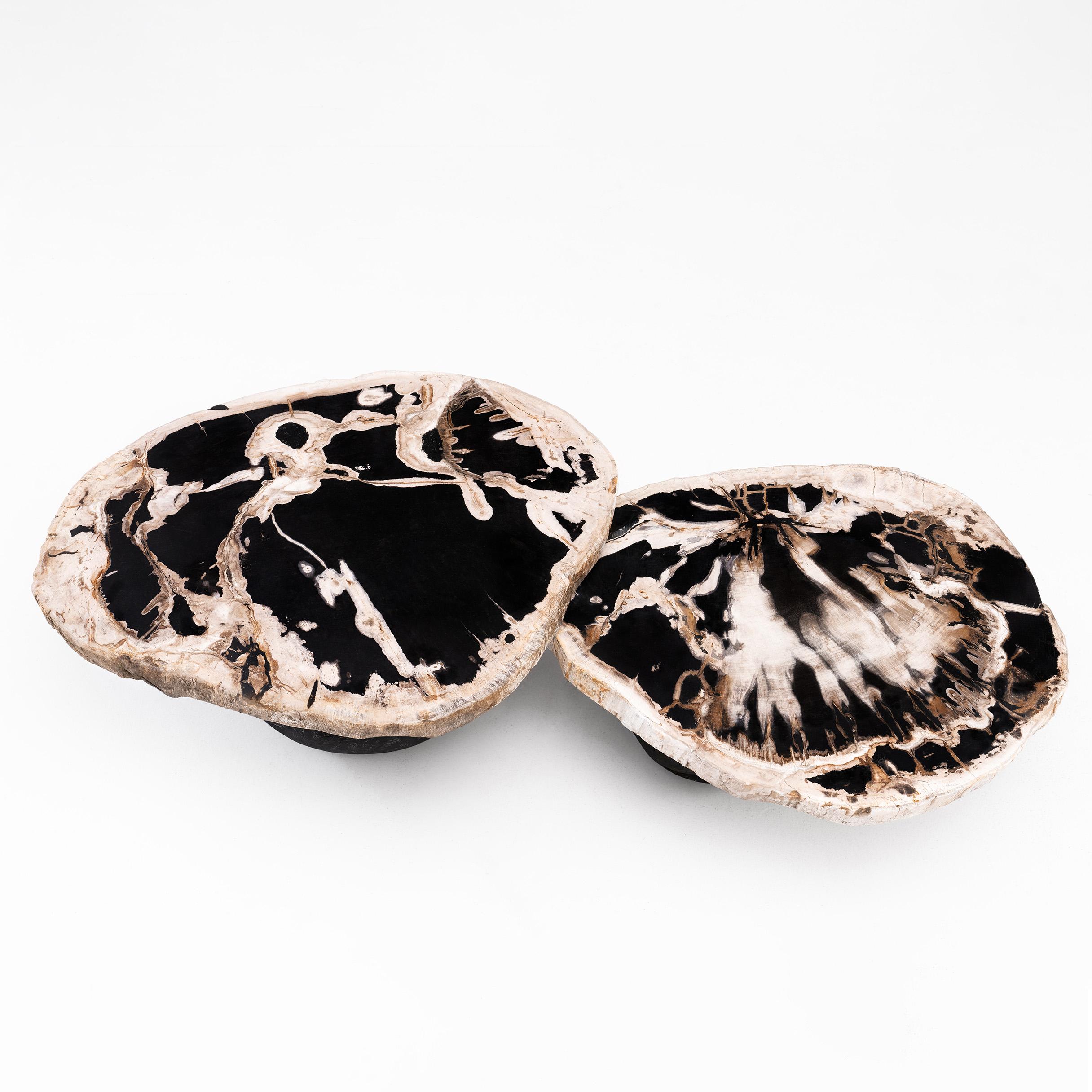 Organic Modern Around The Sun II • Organic Form Petrified Wood Nesting Coffee Tables by Odditi For Sale