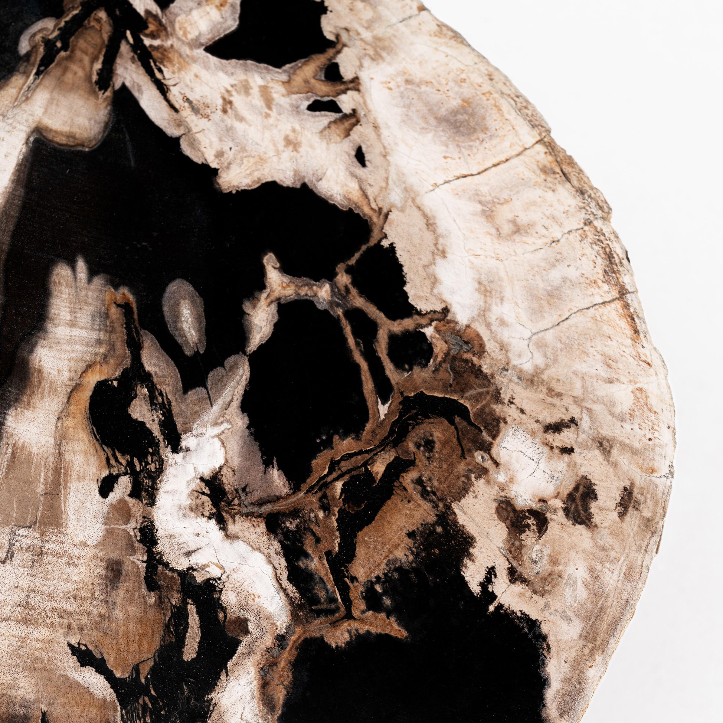 Hand-Carved Around The Sun II • Organic Form Petrified Wood Nesting Coffee Tables by Odditi For Sale