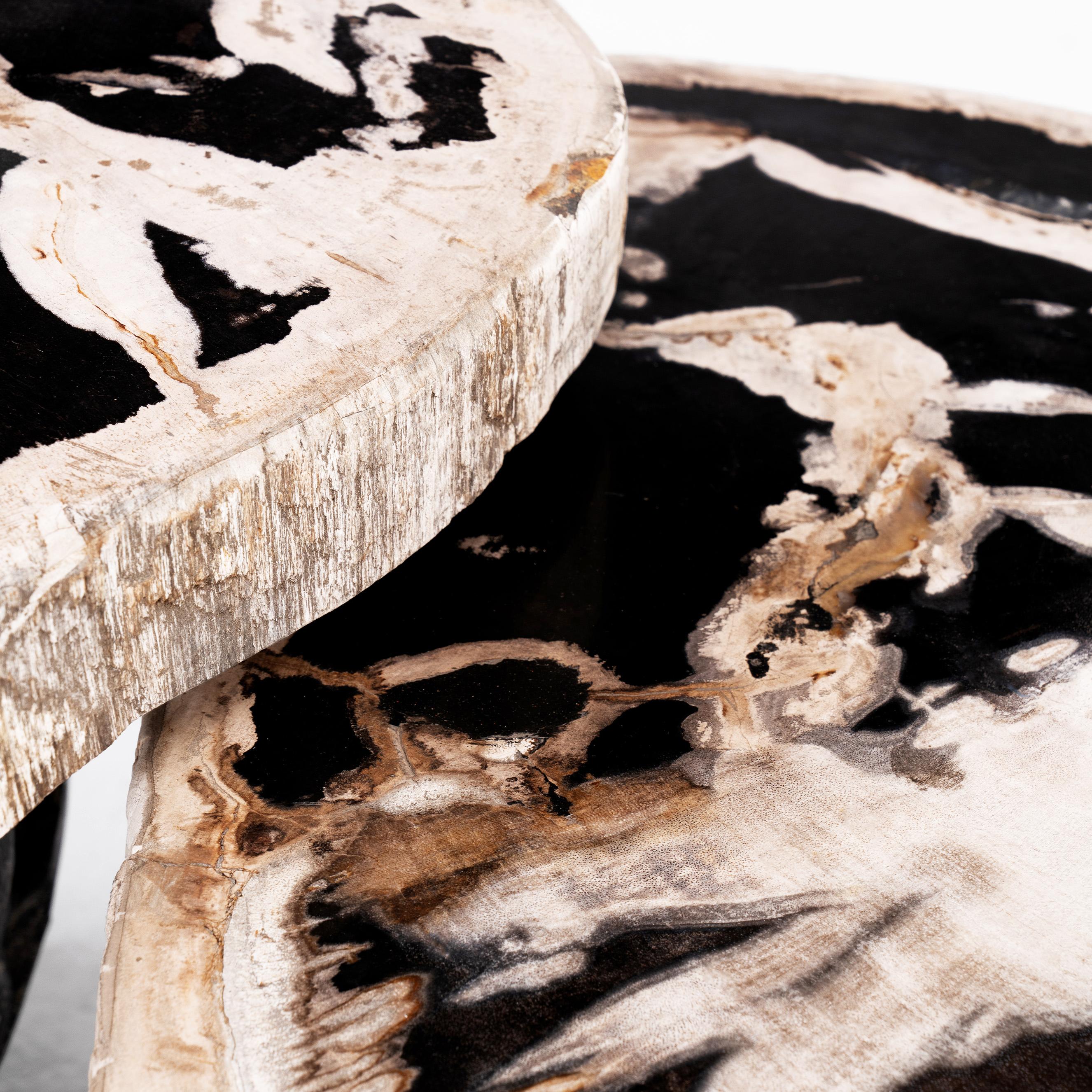 Around The Sun II • Organic Form Petrified Wood Nesting Coffee Tables by Odditi In New Condition For Sale In CAROOL, NSW, AU