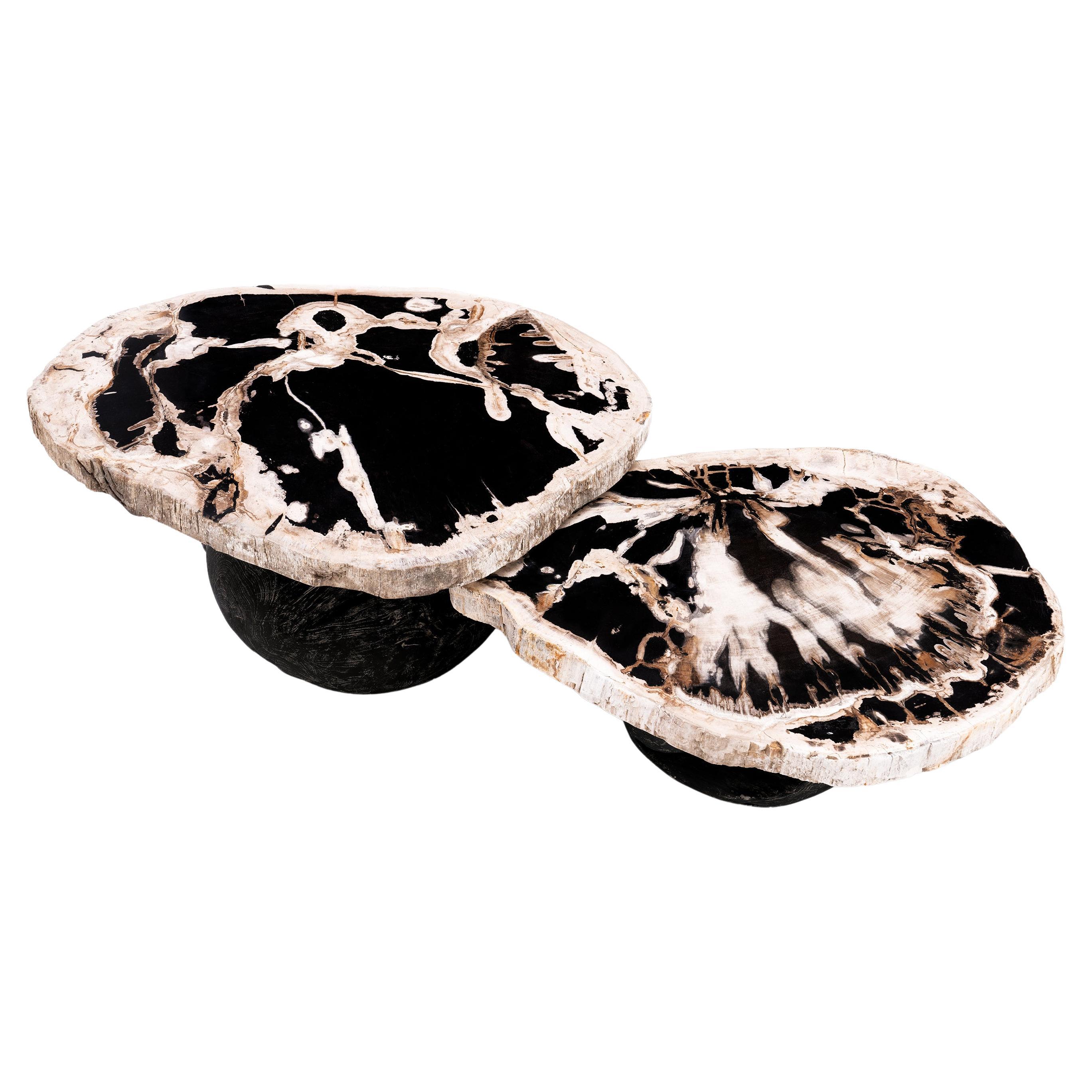 Around The Sun II • Organic Form Petrified Wood Nesting Coffee Tables by Odditi For Sale