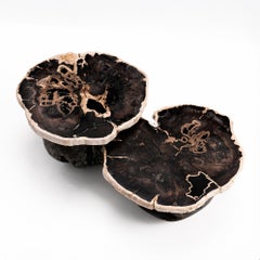 Around The Sun • Organic Form Petrified Wood Nesting Coffee Tables by Odditi