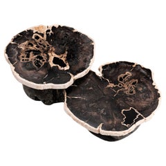 Around The Sun • Organic Form Petrified Wood Nesting Coffee Tables by Odditi