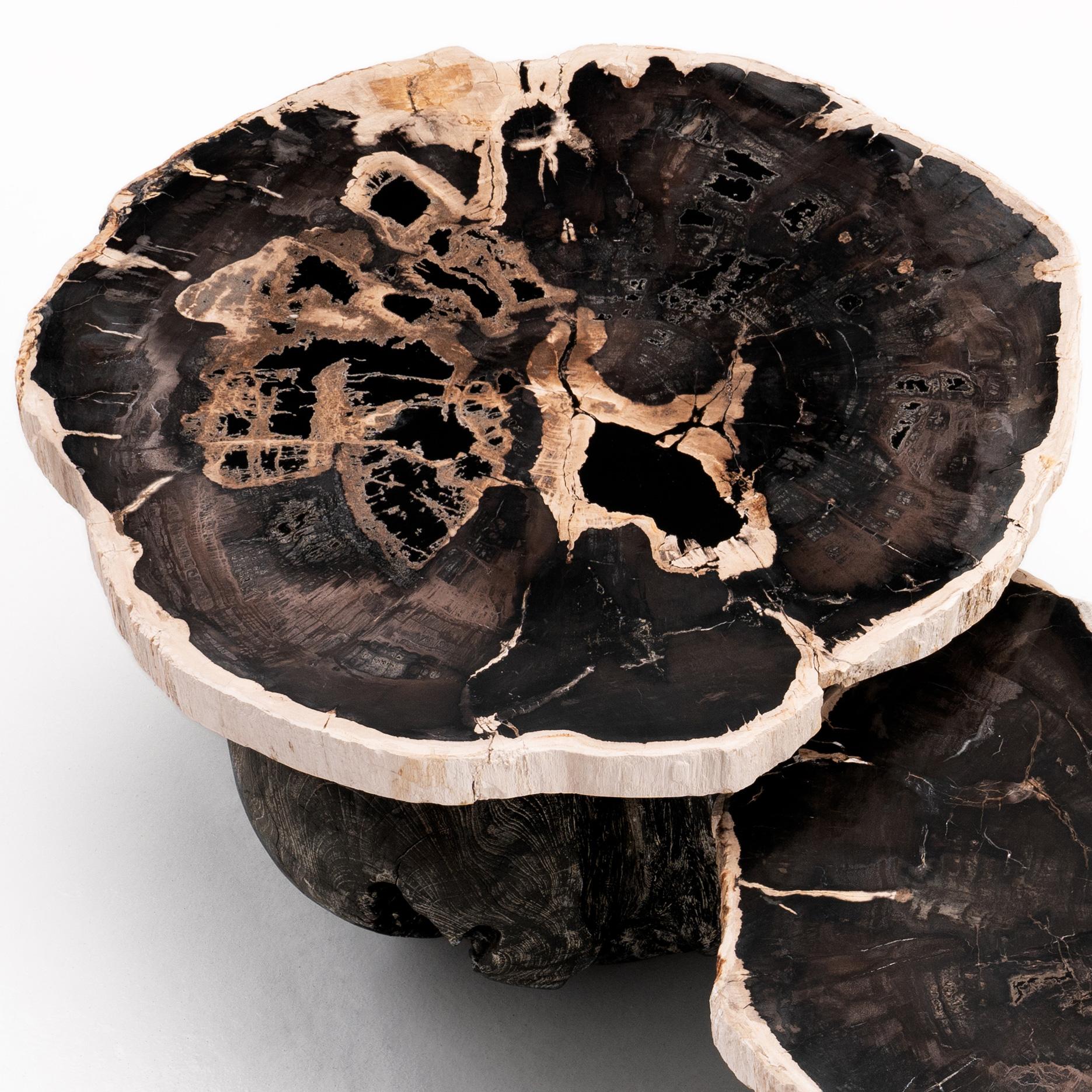 Organic Modern Around The Sun • Organic Form Petrified Wood Nesting Coffee Tables by Odditi For Sale