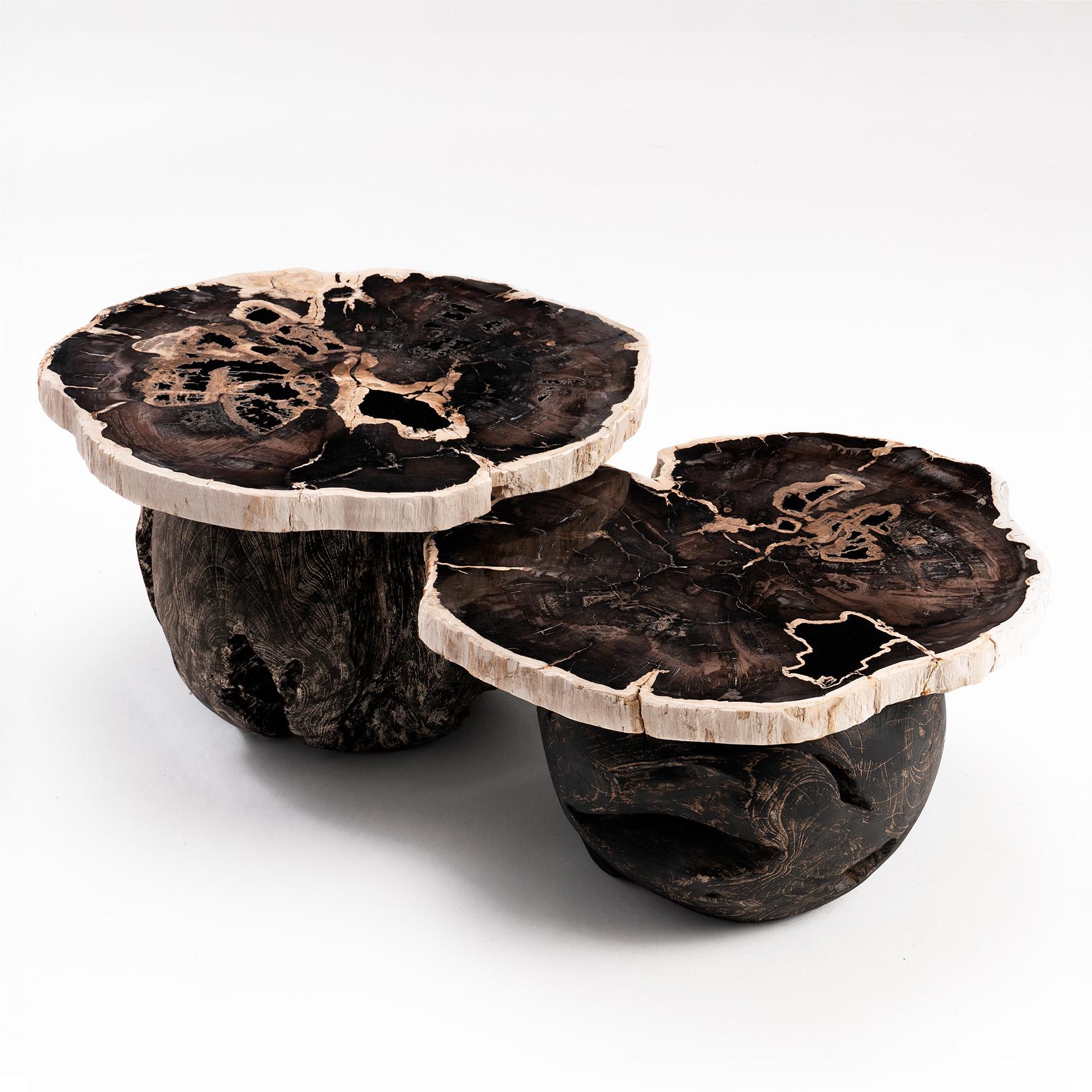Um die Sonne herum - • Nesting Couchtische in organischer Form aus versteinertem Holz von Odditi (Australisch) im Angebot