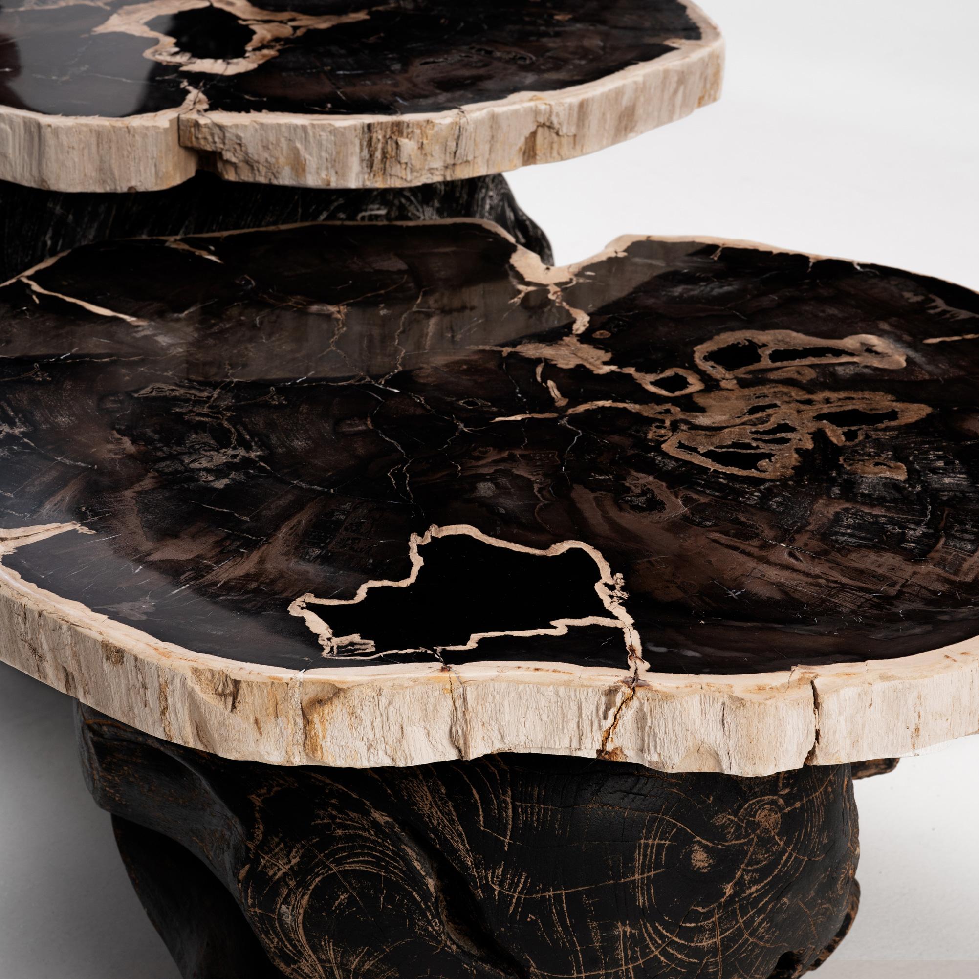 Hand-Carved Around The Sun • Organic Form Petrified Wood Nesting Coffee Tables by Odditi For Sale