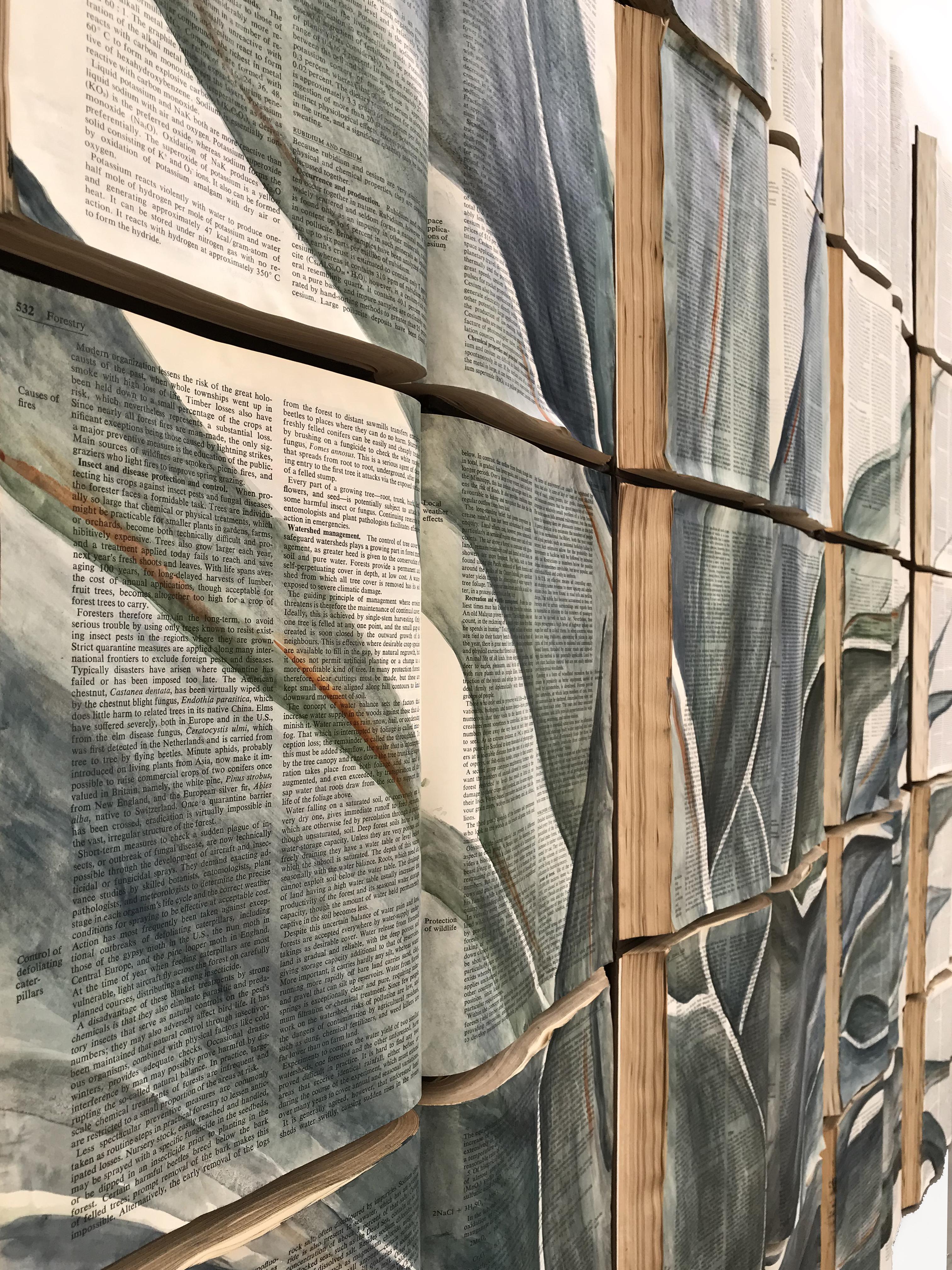 Agave - Belle peinture de plantes préhistoriques 4