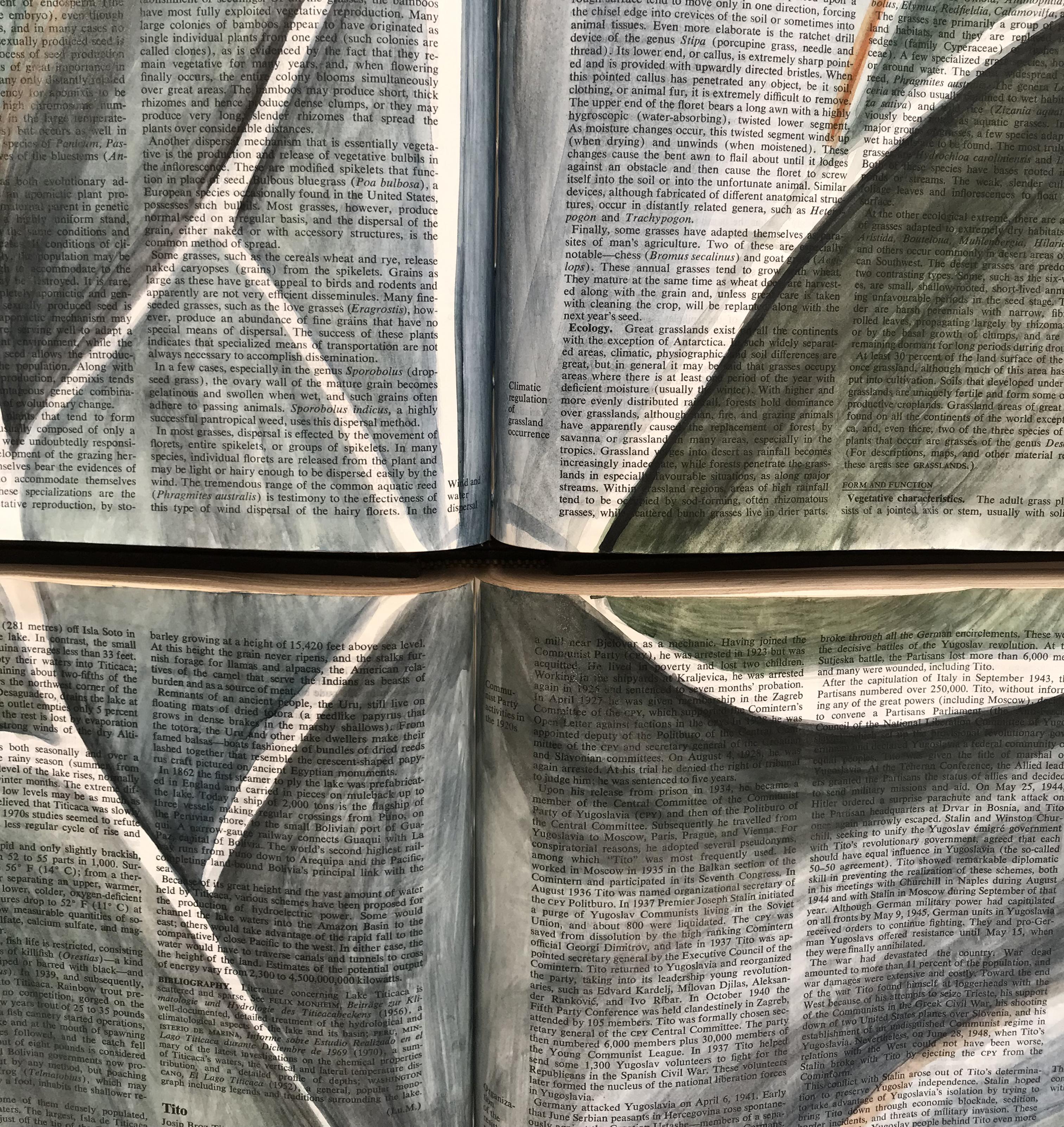 Agave - Magnifique peinture de plantes préhistoriques en vente 4
