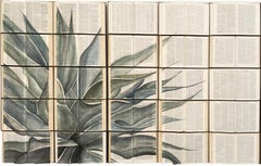 Agave - Belle peinture de plantes préhistoriques