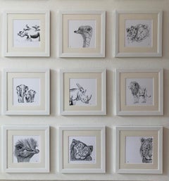 Animal Black and White Handmade Sketches
