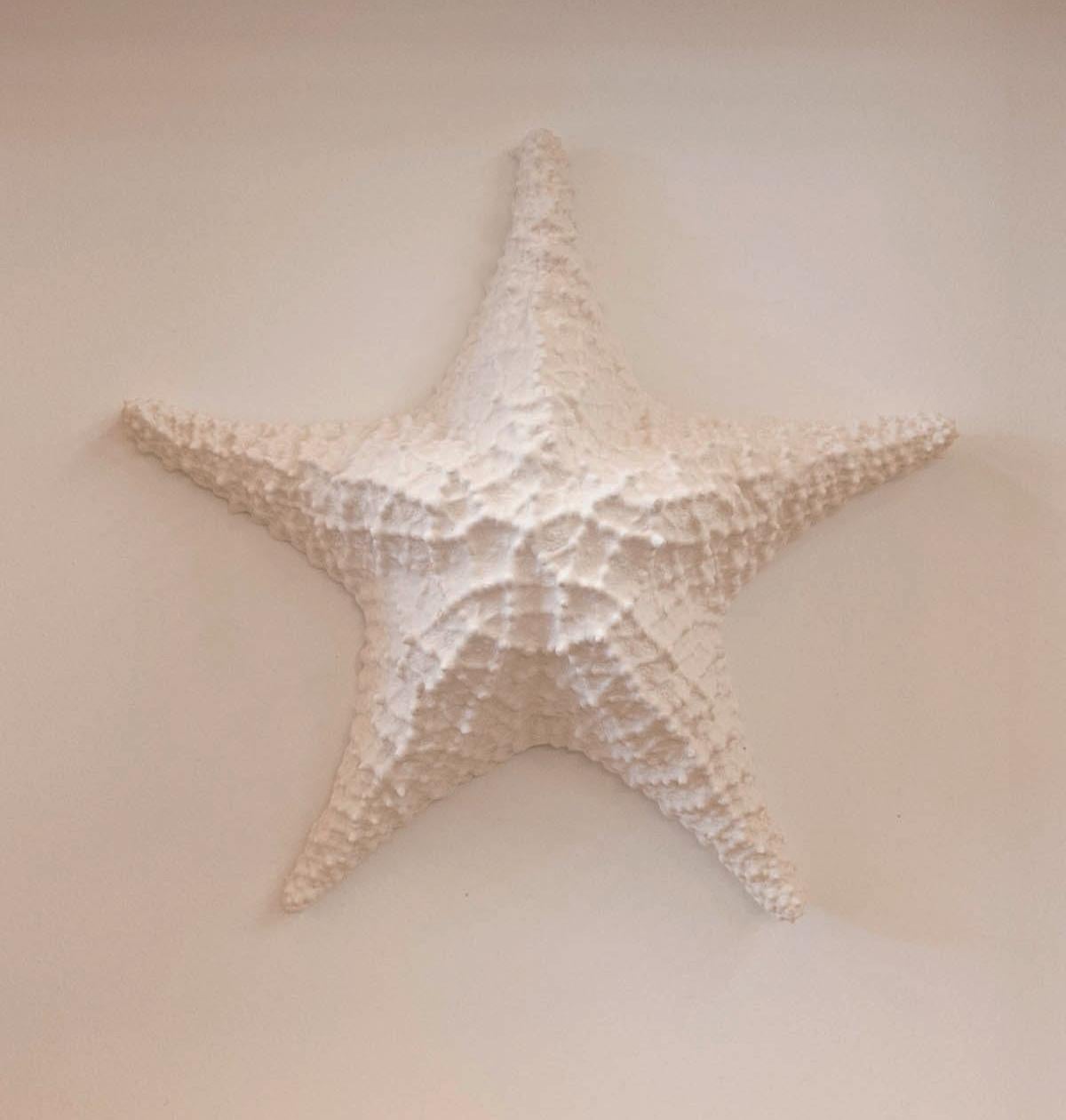 Beach Lovers - Clay Wall Art Starfish Sculpture - Painting by Arozarena De La Fuente