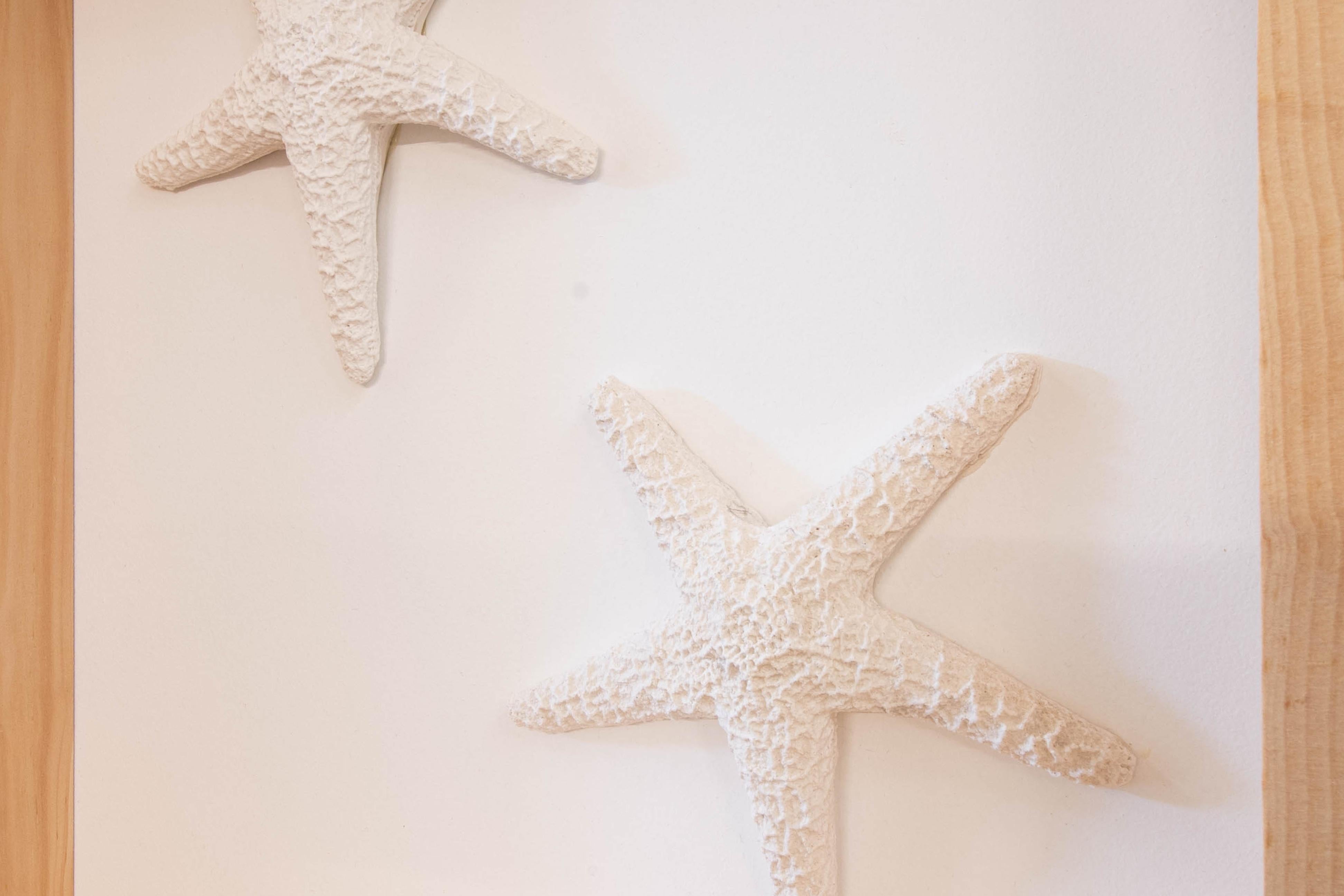 starfish clay sculpture