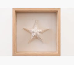 Beach Lovers - Clay Wall Art Starfish Sculpture