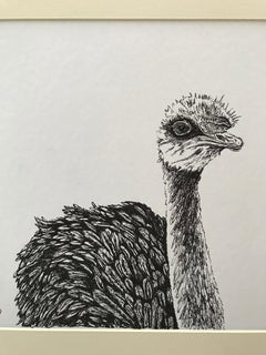 Beautiful handmade animal sketches