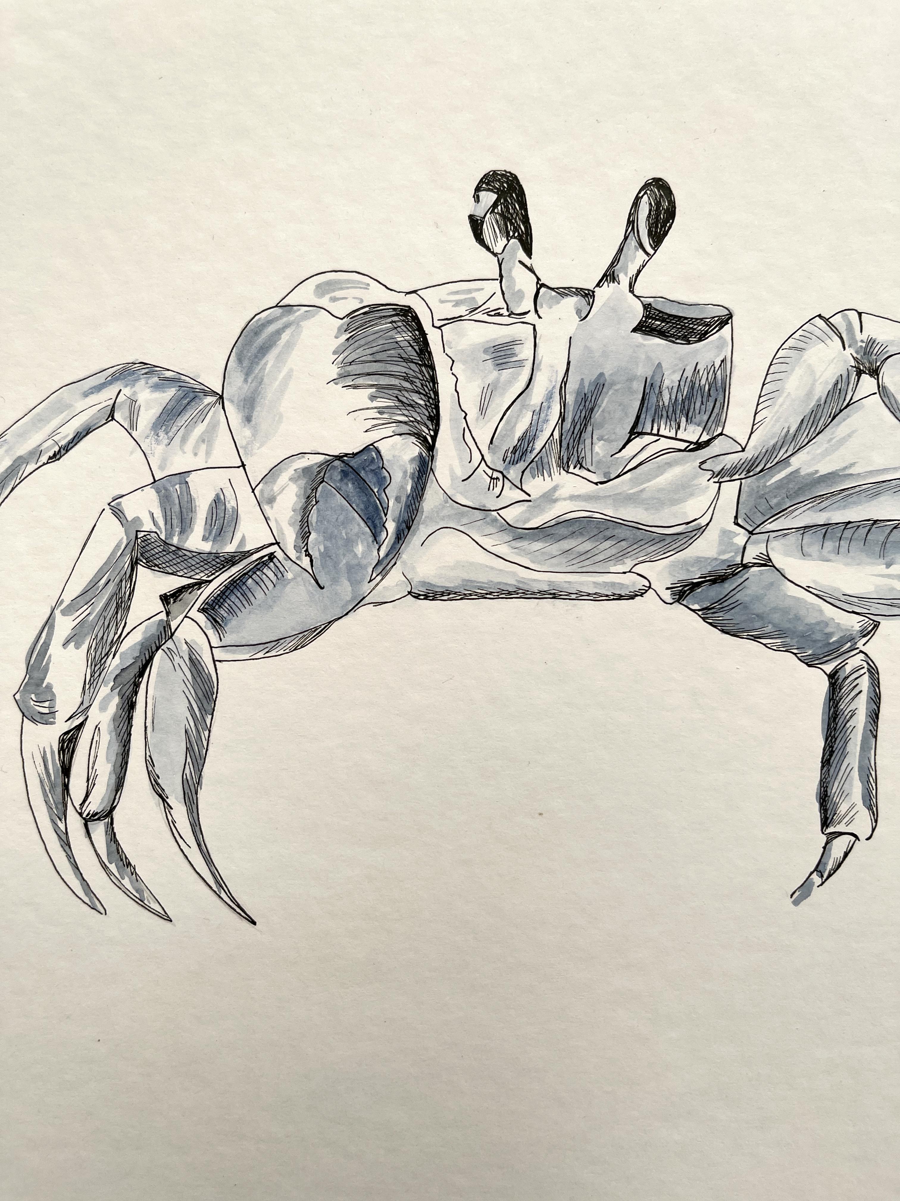 easy crab painting