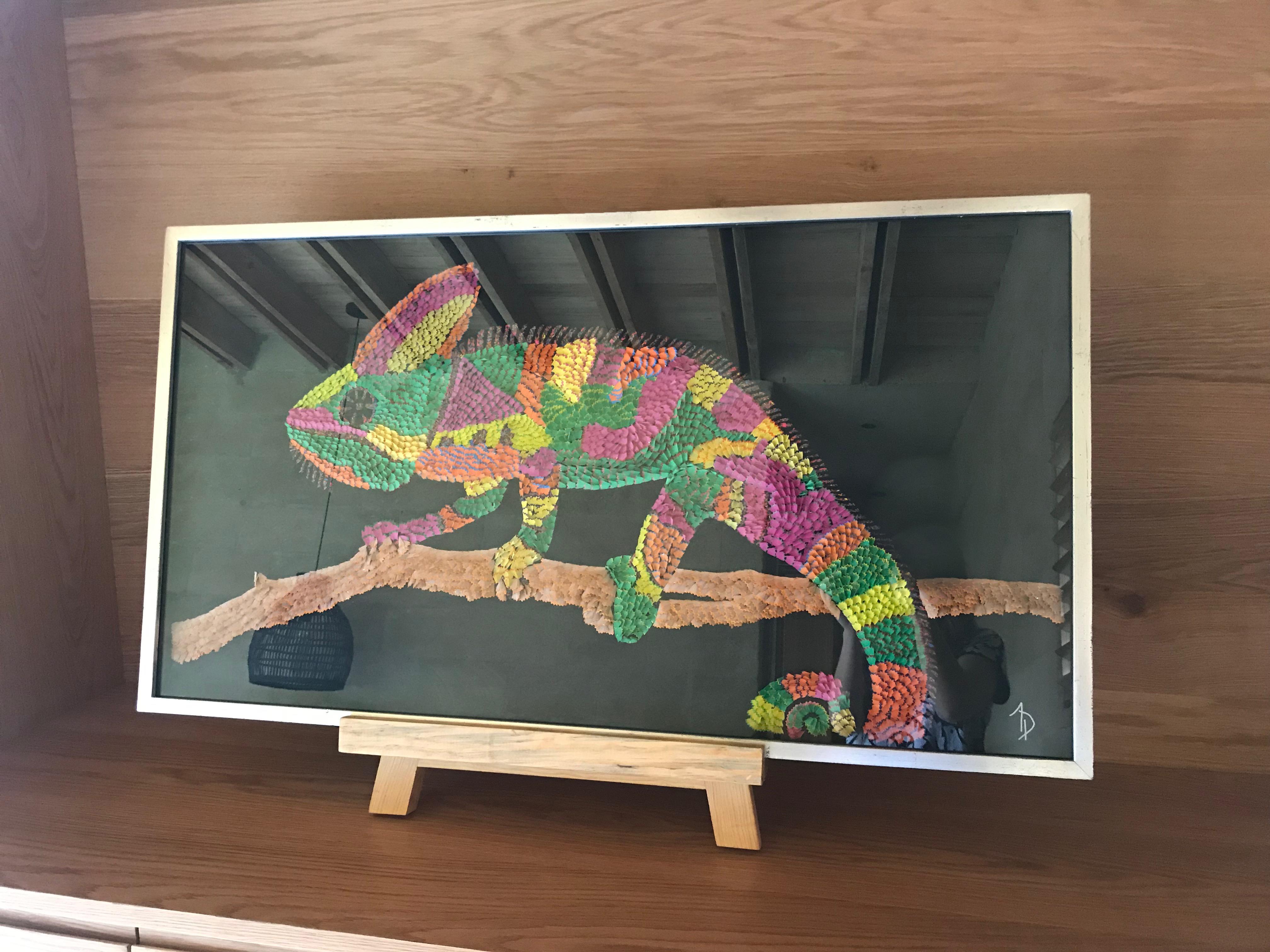colorful lizards for sale
