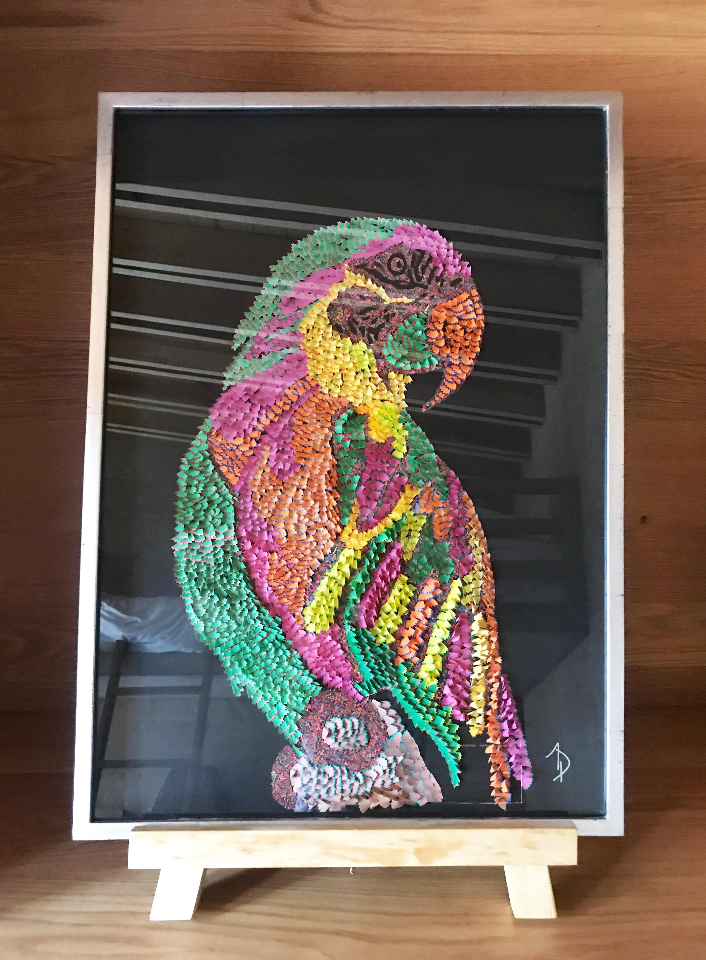 Colorful Wild Bird With Black Background - Art by Arozarena De La Fuente