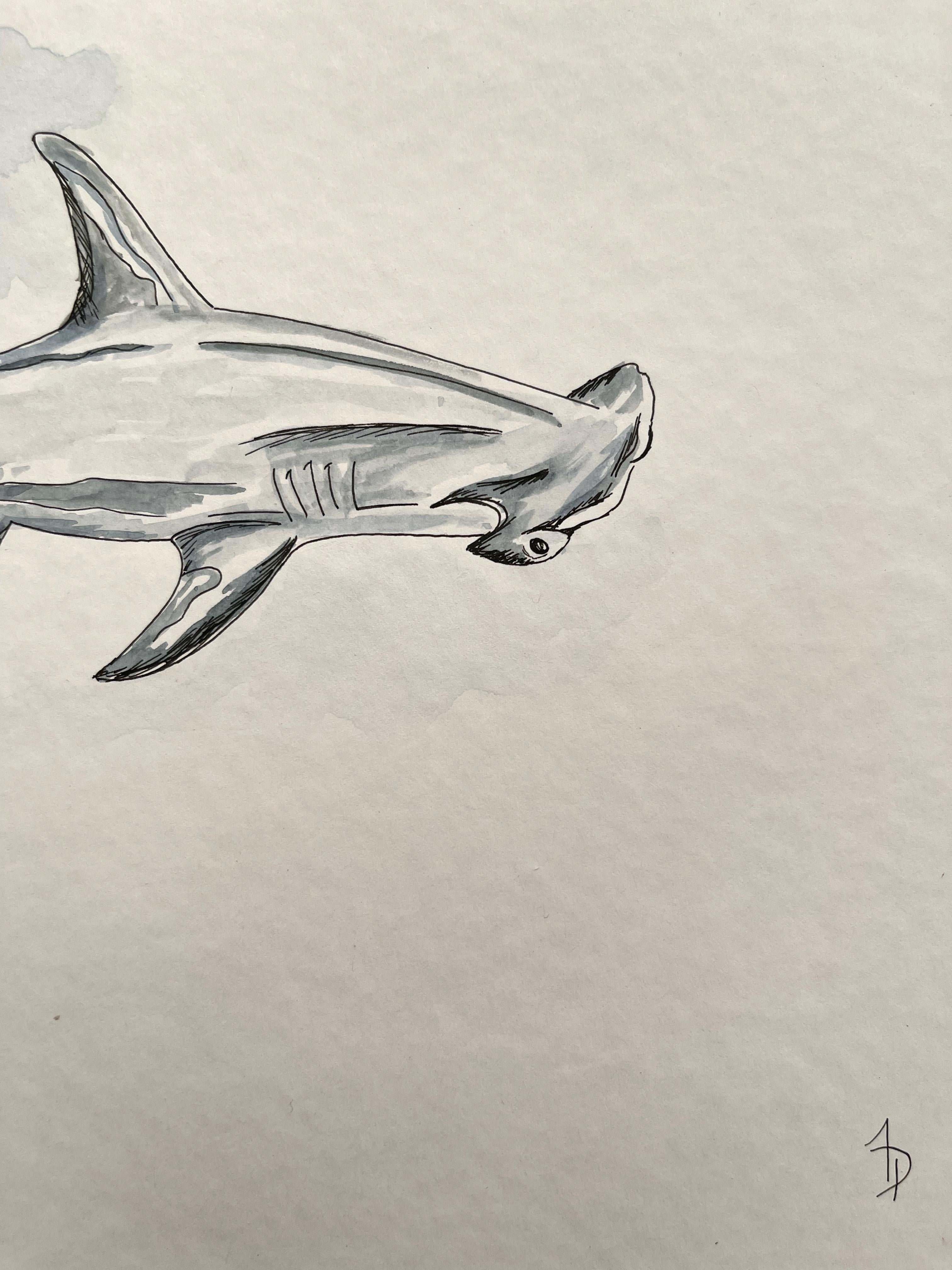 shark art work