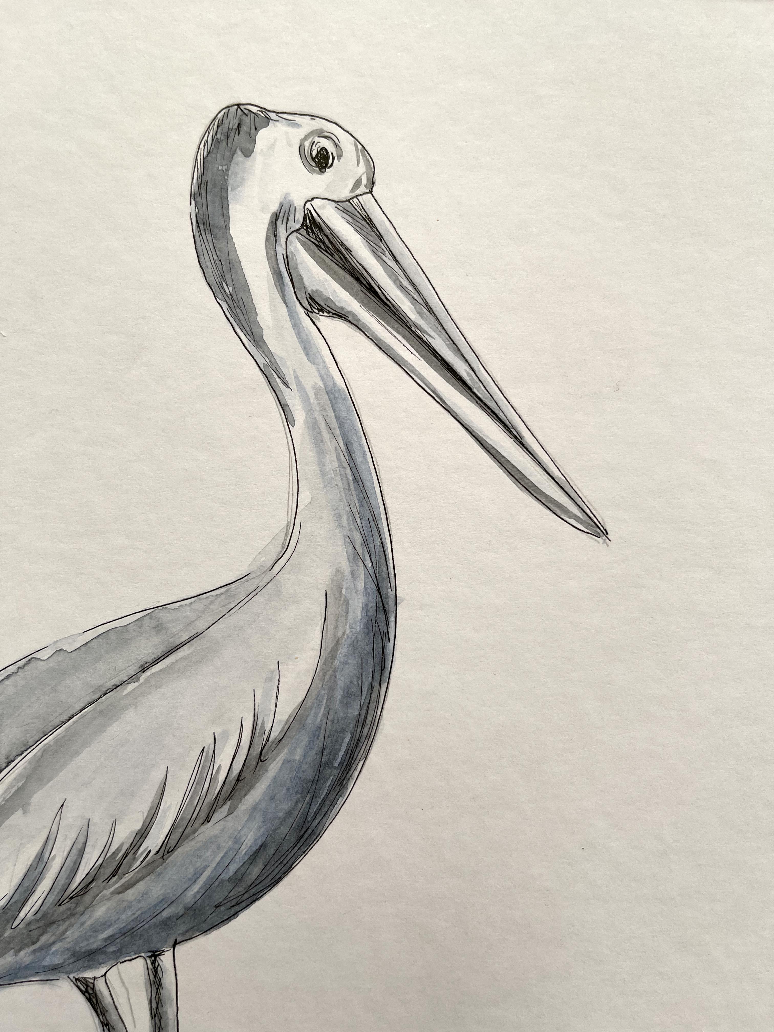 Schönes Aquarellgemälde Ideal für Strandwohnungen (Braun), Animal Painting, von Arozarena De La Fuente