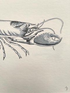 Ocean Creatures. Beautifully Detailed Watercolor Artwork Ideal for Beach Homes