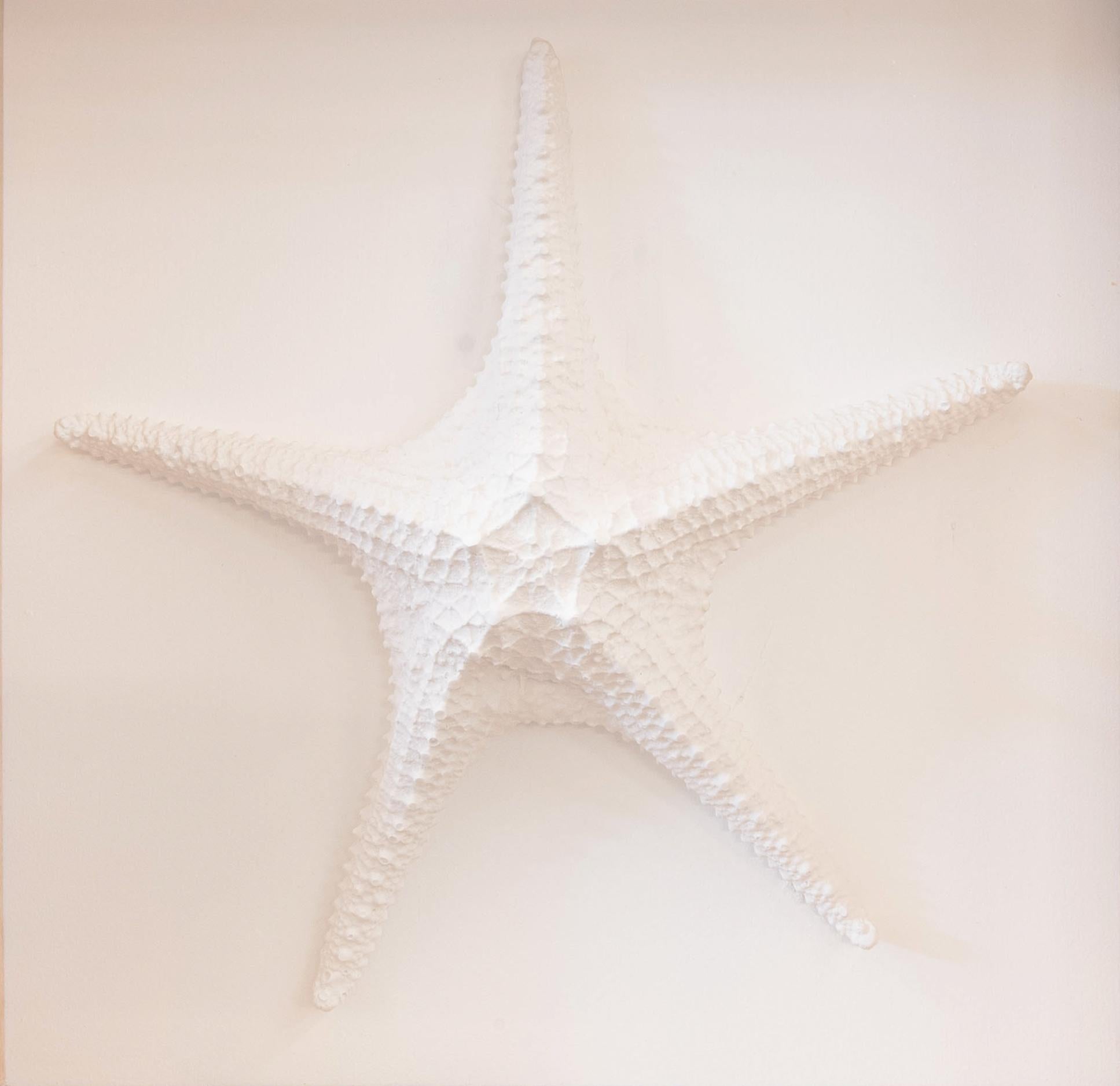 Sculpture d'étoile de mer blanche pour les amoureux de l'océan. Art mural - Painting de Arozarena De La Fuente