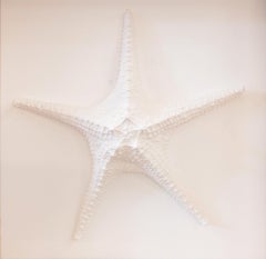 White Starfish Sculpture for Ocean Lovers. Wall Art